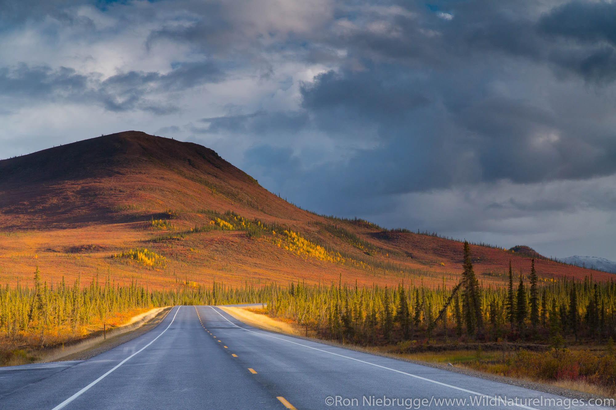 Autumn colors along the Dalton Highway, Alaska.