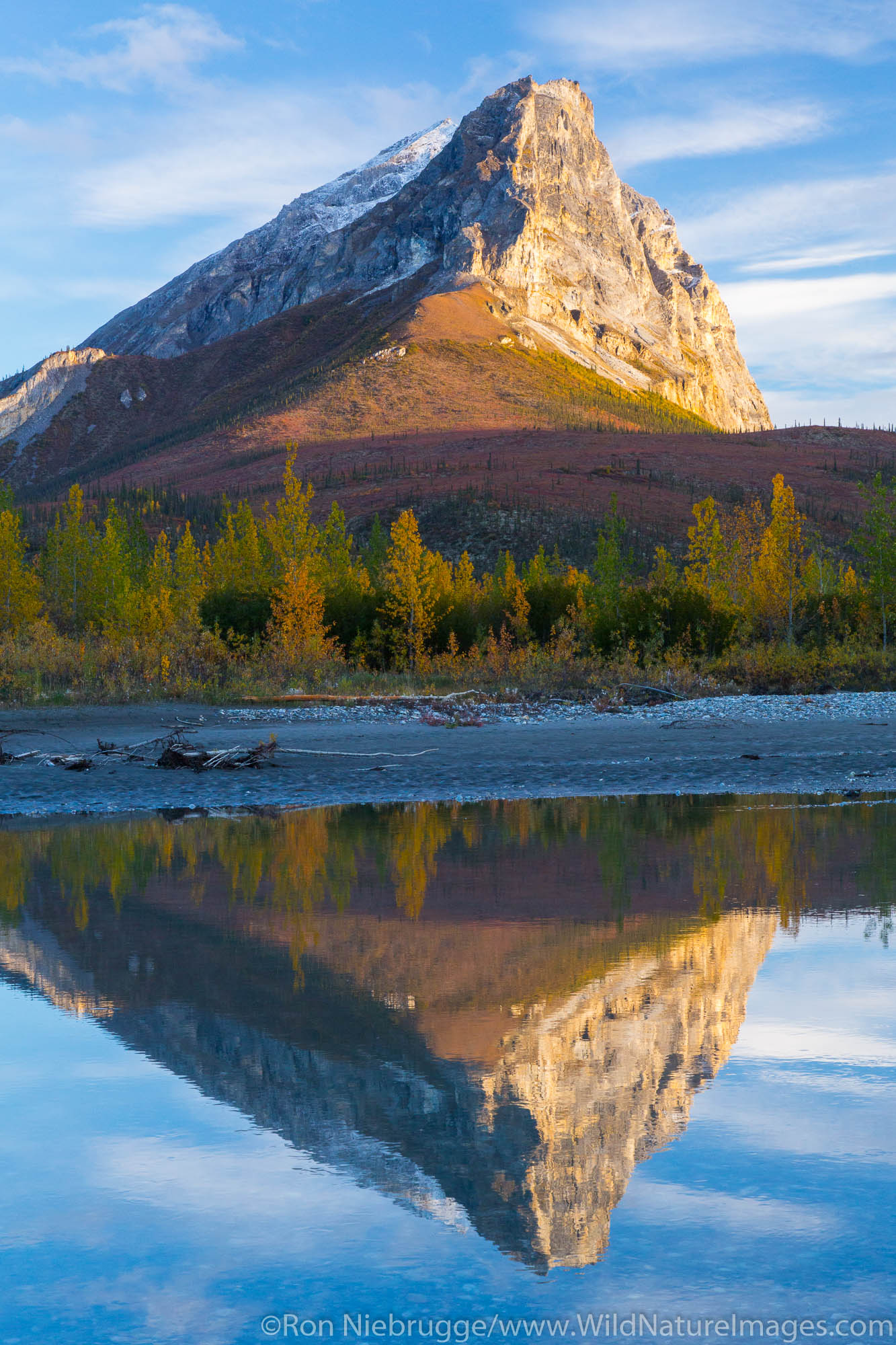 Autumn colors along the Dalton Highway, Alaska.