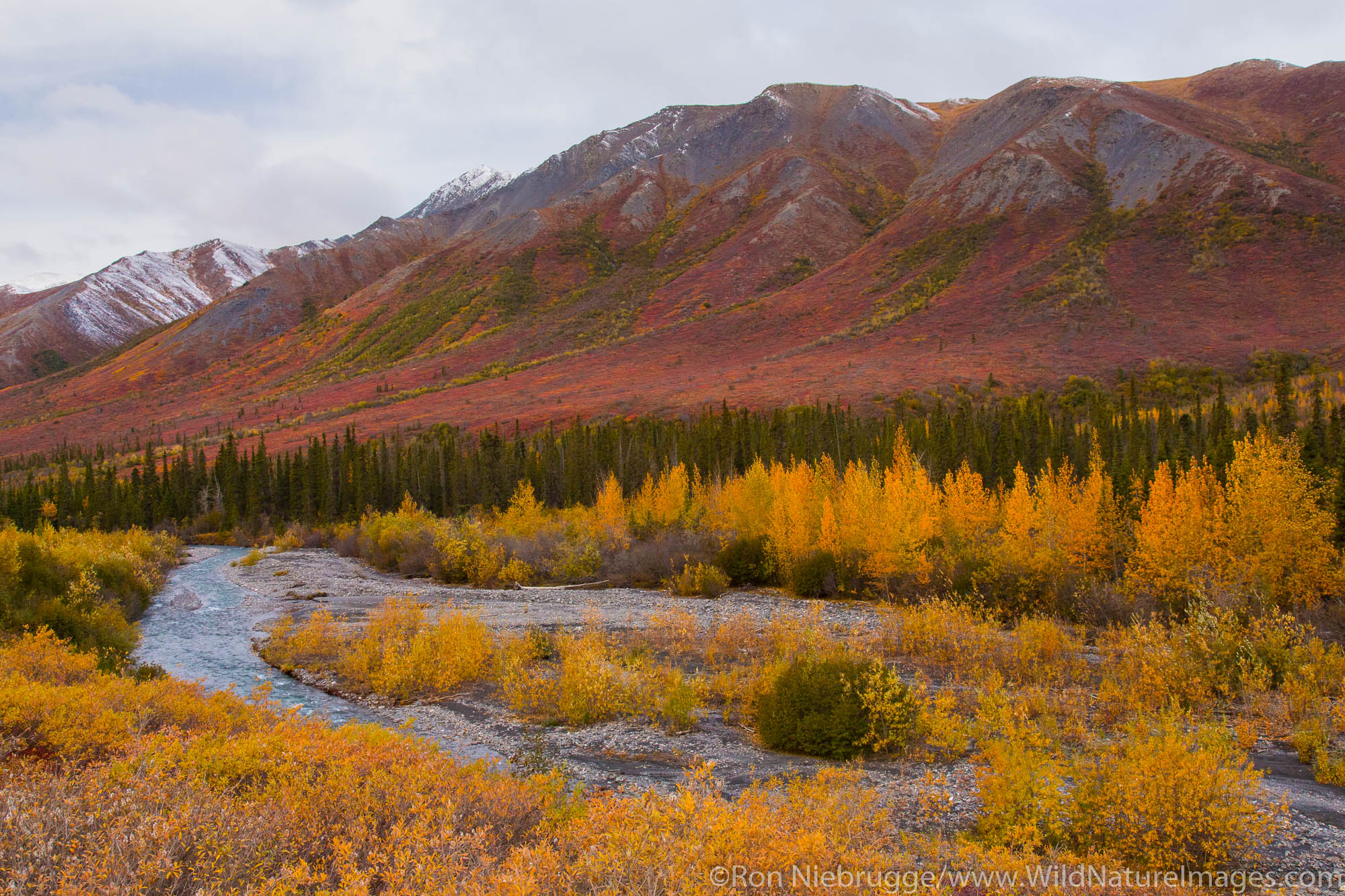 Autumn colors along the Dalton Highway Alaska.