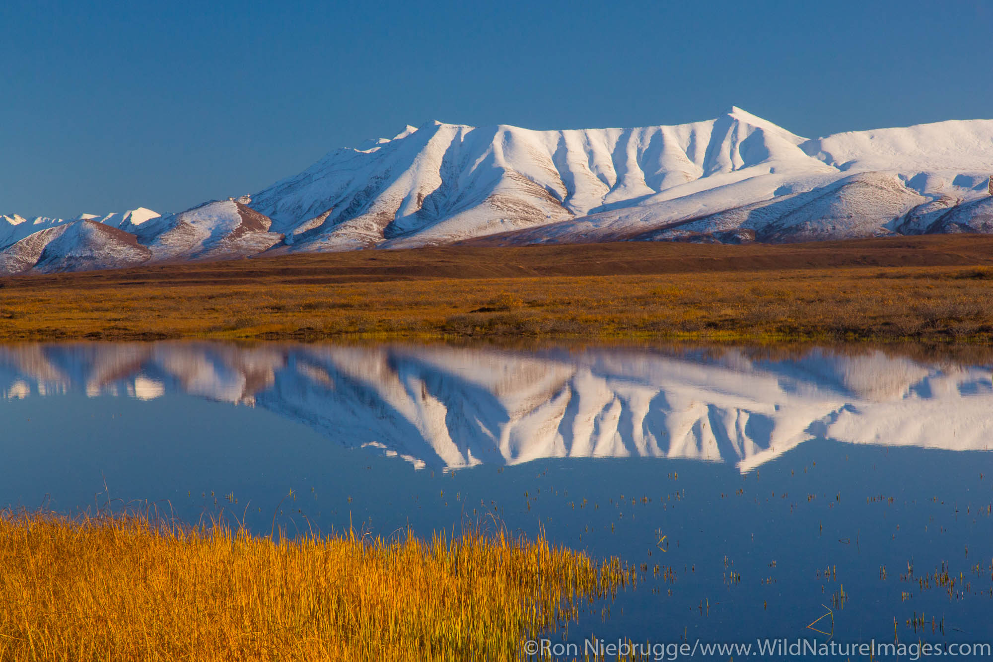 The Brooks Range along the Dalton Highway, Alaska.