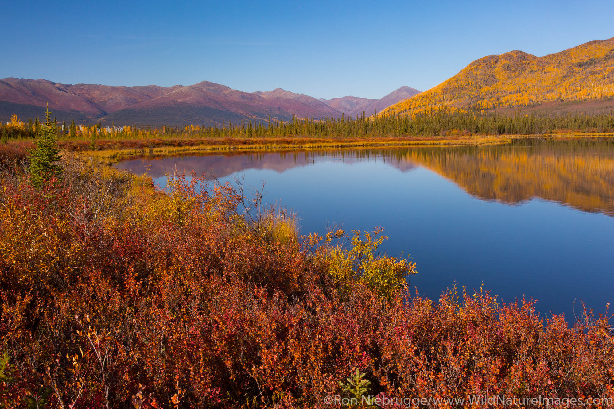 Brooks Range from the Dalton Highway, Alaska.
