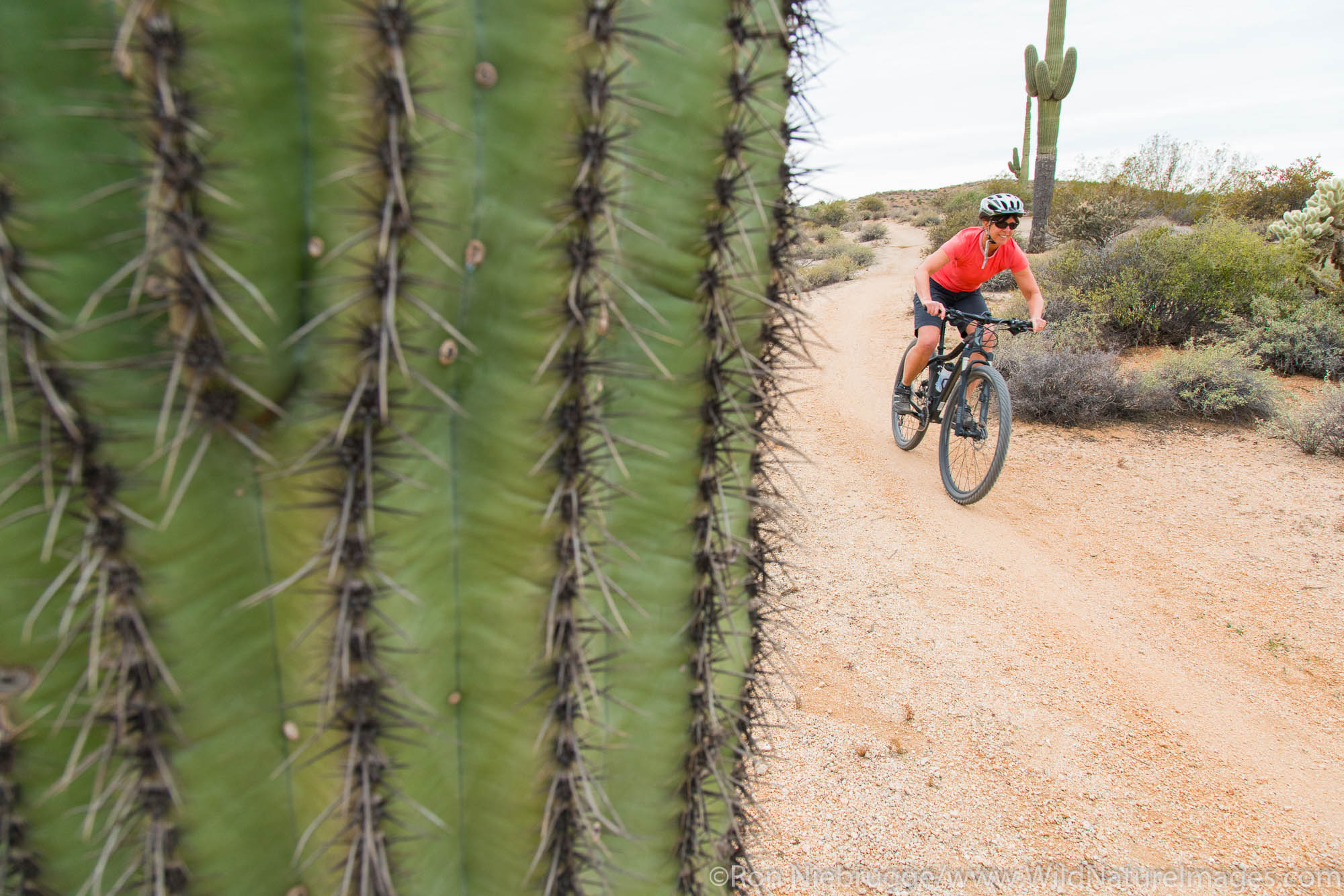 Mountain Biking, McDowell Mountain Regional Park, Near Fountain Hills and East of Phoenix, Arizona.