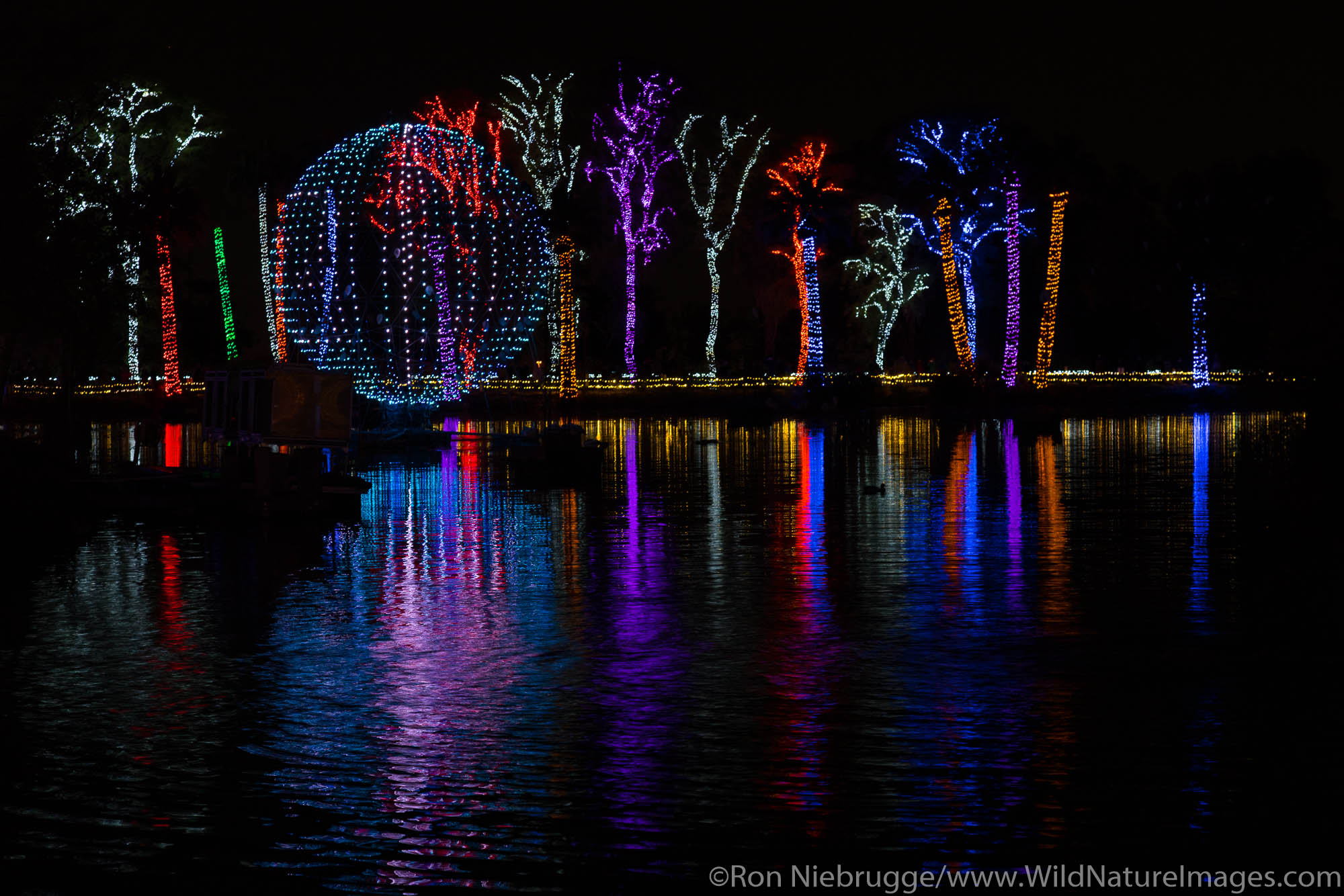 Phoenix Zoo Holiday Light show,  Phoenix, Arizona.