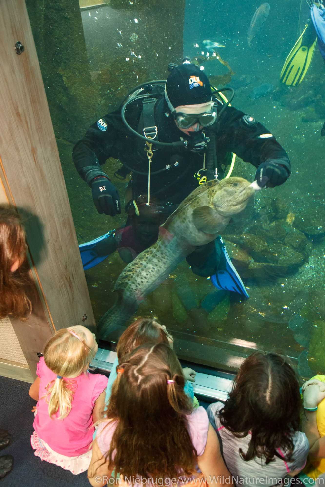 Kids at the Alaska SeaLife Center.  Seward, Alaska.