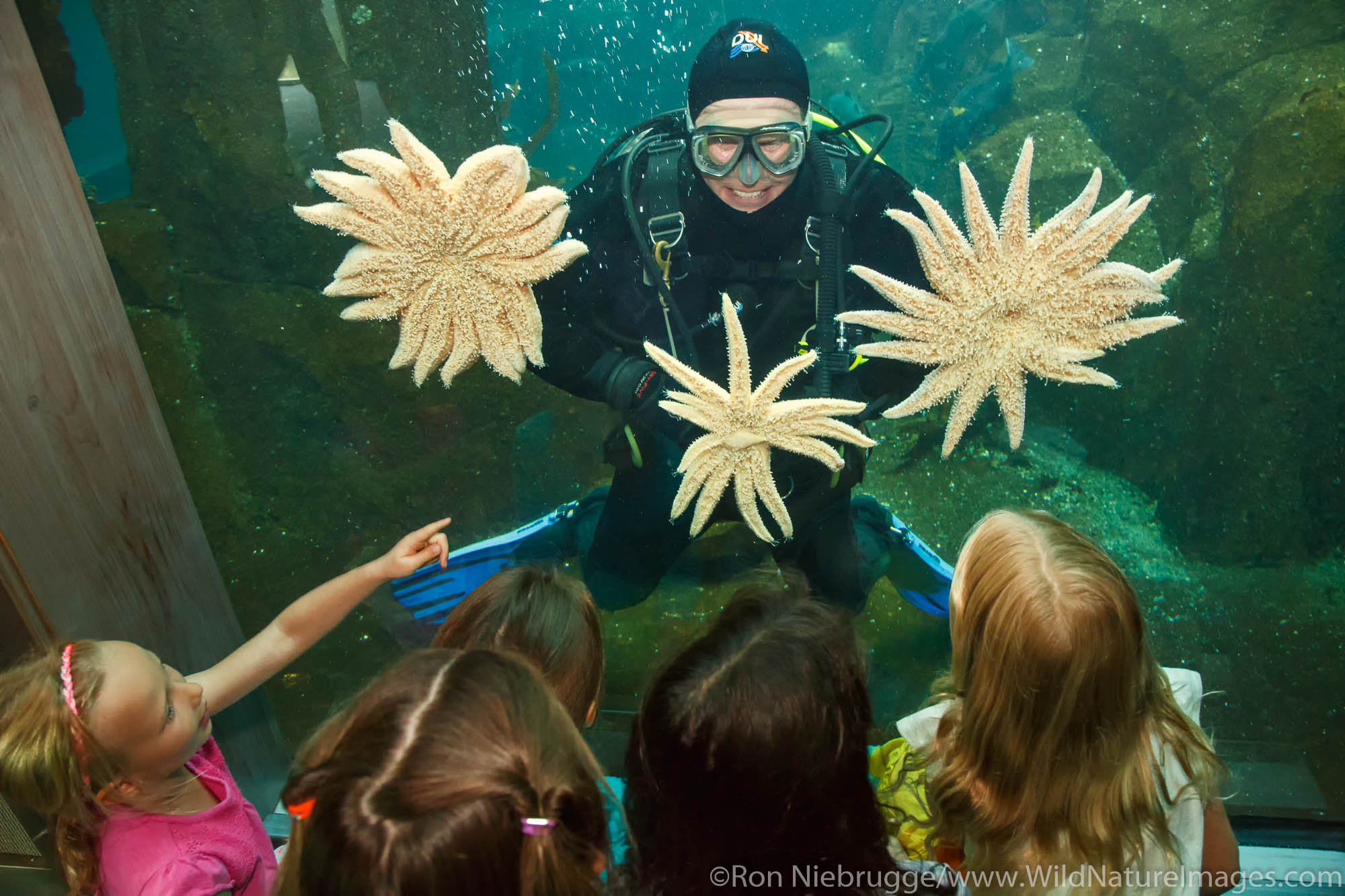 Kids at the Alaska SeaLife Center.  Seward, Alaska.