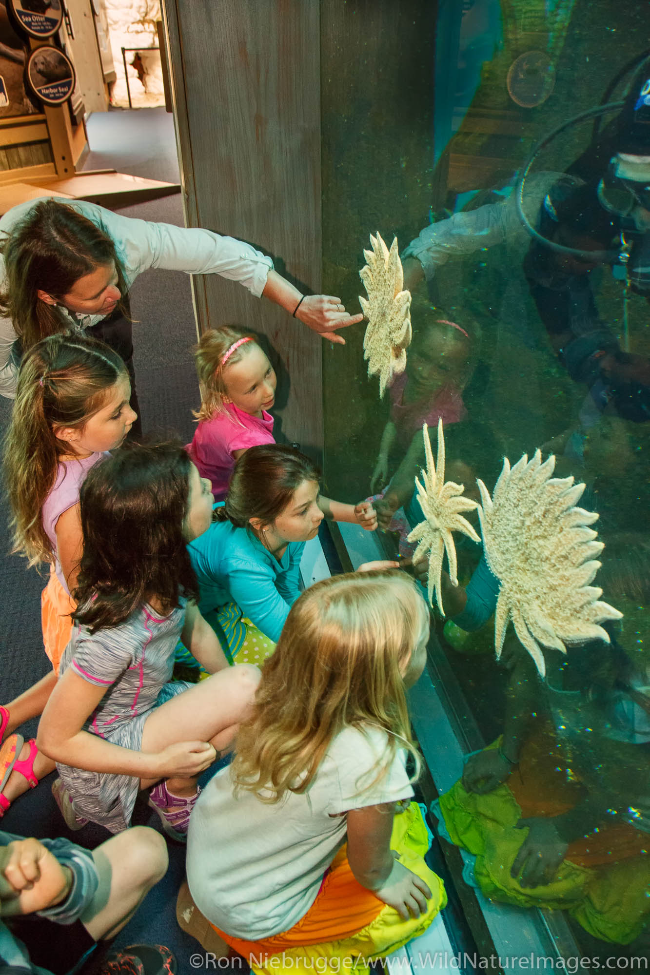 Kids at the Alaska SeaLife Center.  Seward, Alaska.