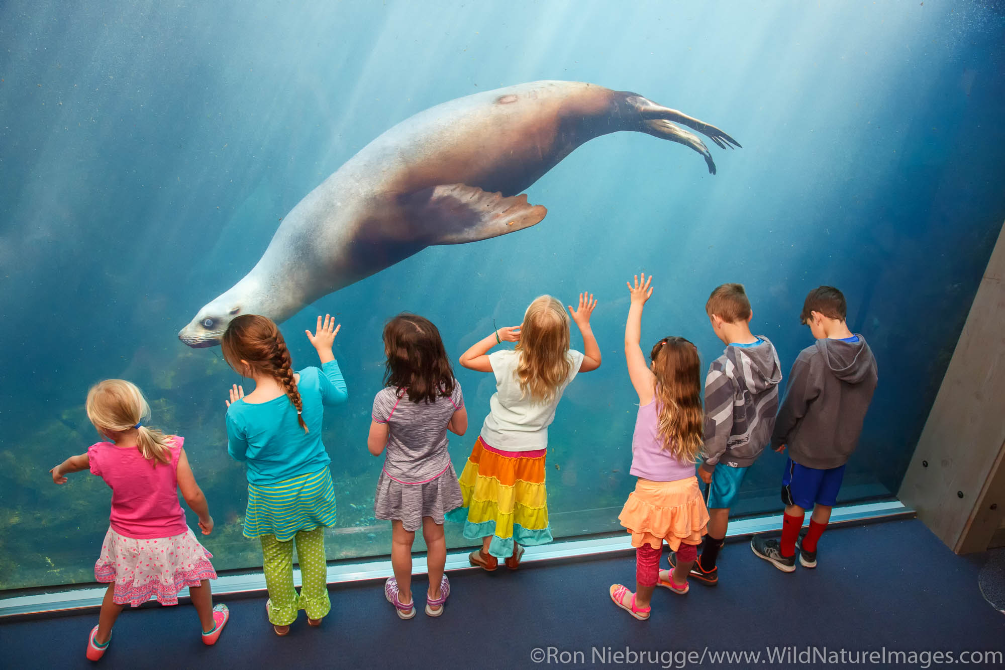 Kids at the Alaska SeaLife Center.  Seward, Alaska.