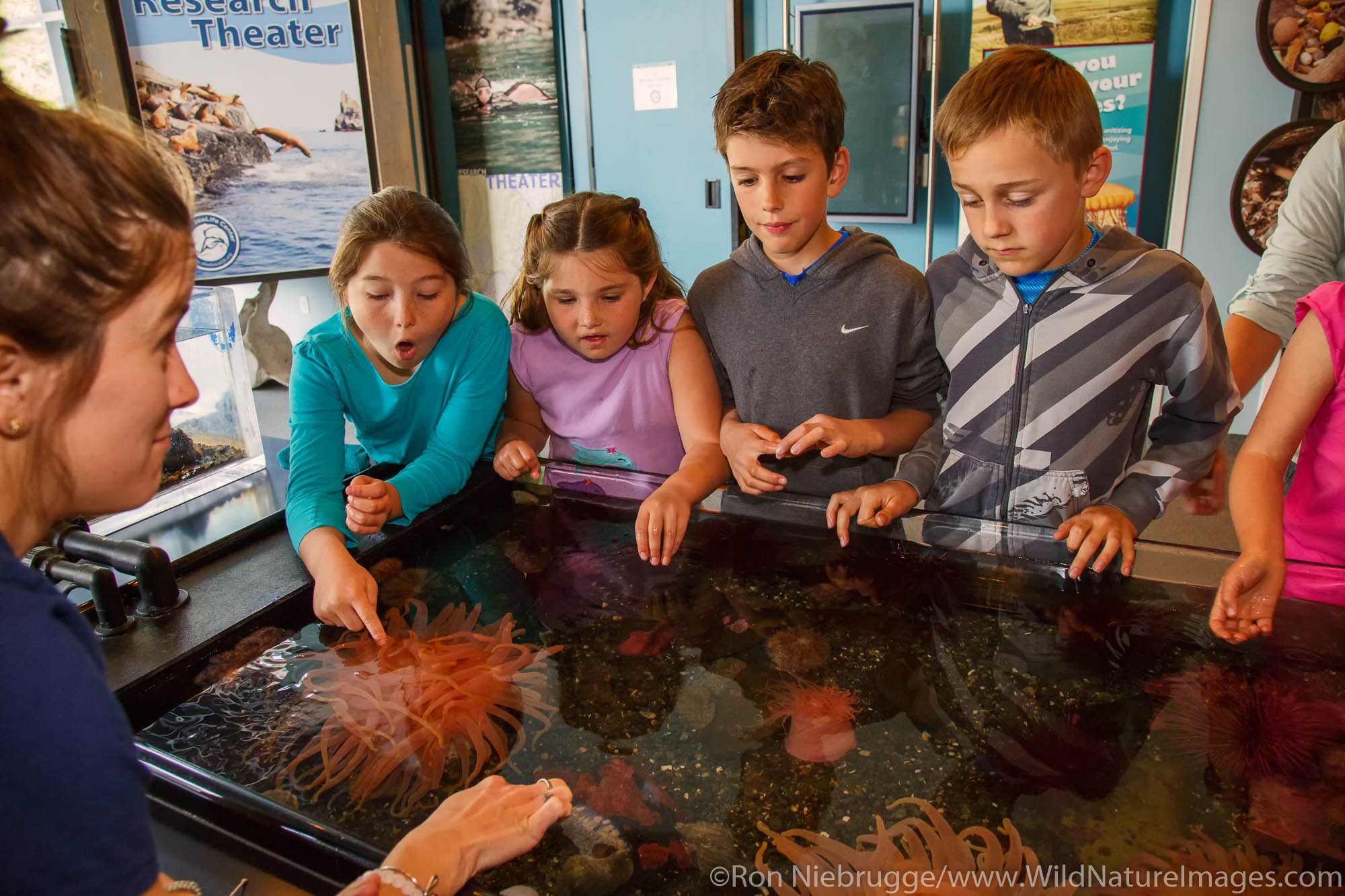 Kids at the Alaska SeaLife Center.  Seward, Alaska.