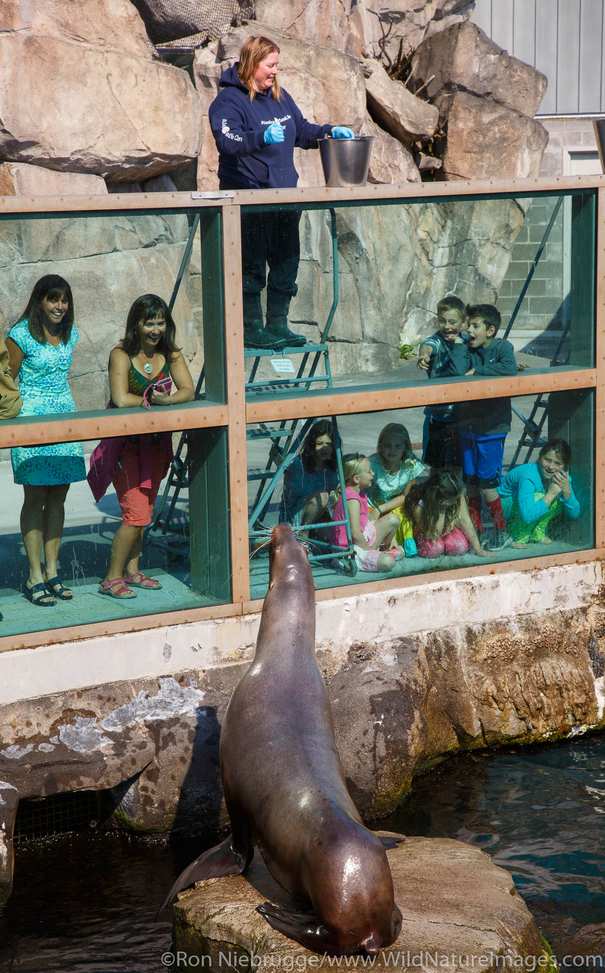 Kids at the Alaska SeaLife Center.  Seward, Alaska.
