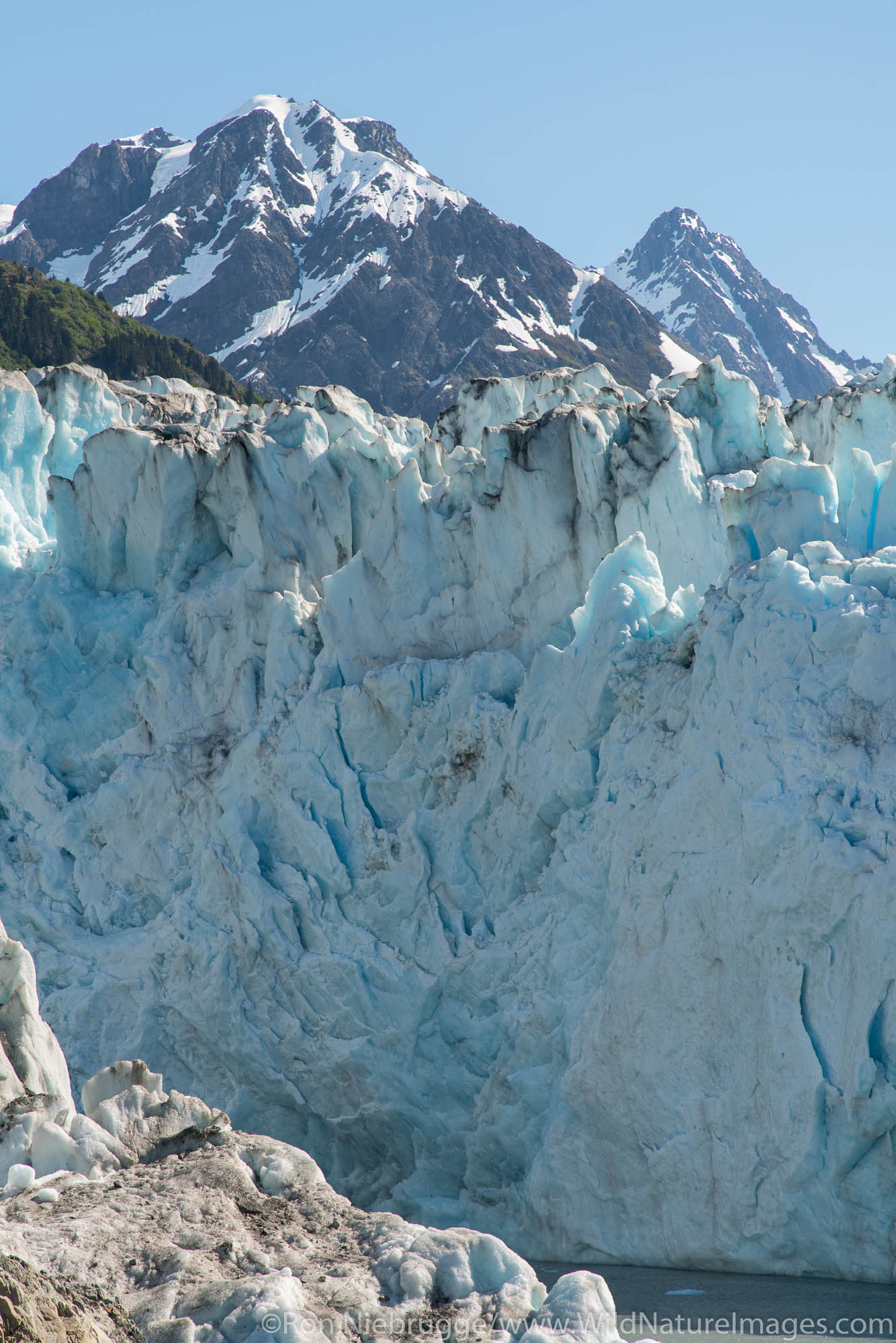 Meares Glacier, Prince William Sound, Chugach National Forest, Alaska.