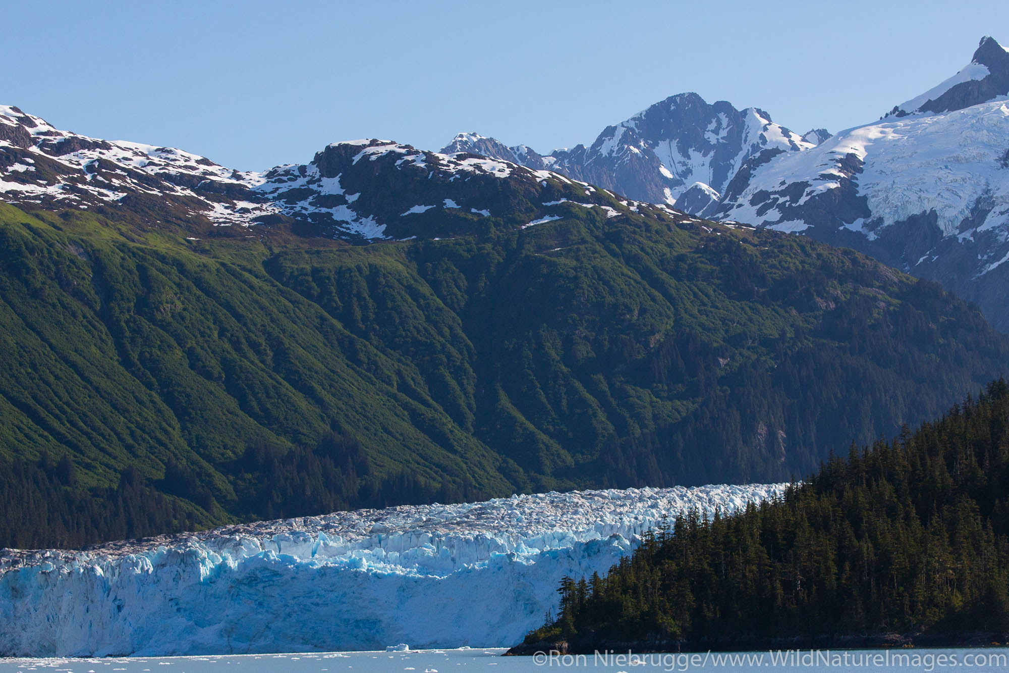 Meares Glacier, Prince William Sound, Chugach National Forest, Alaska.