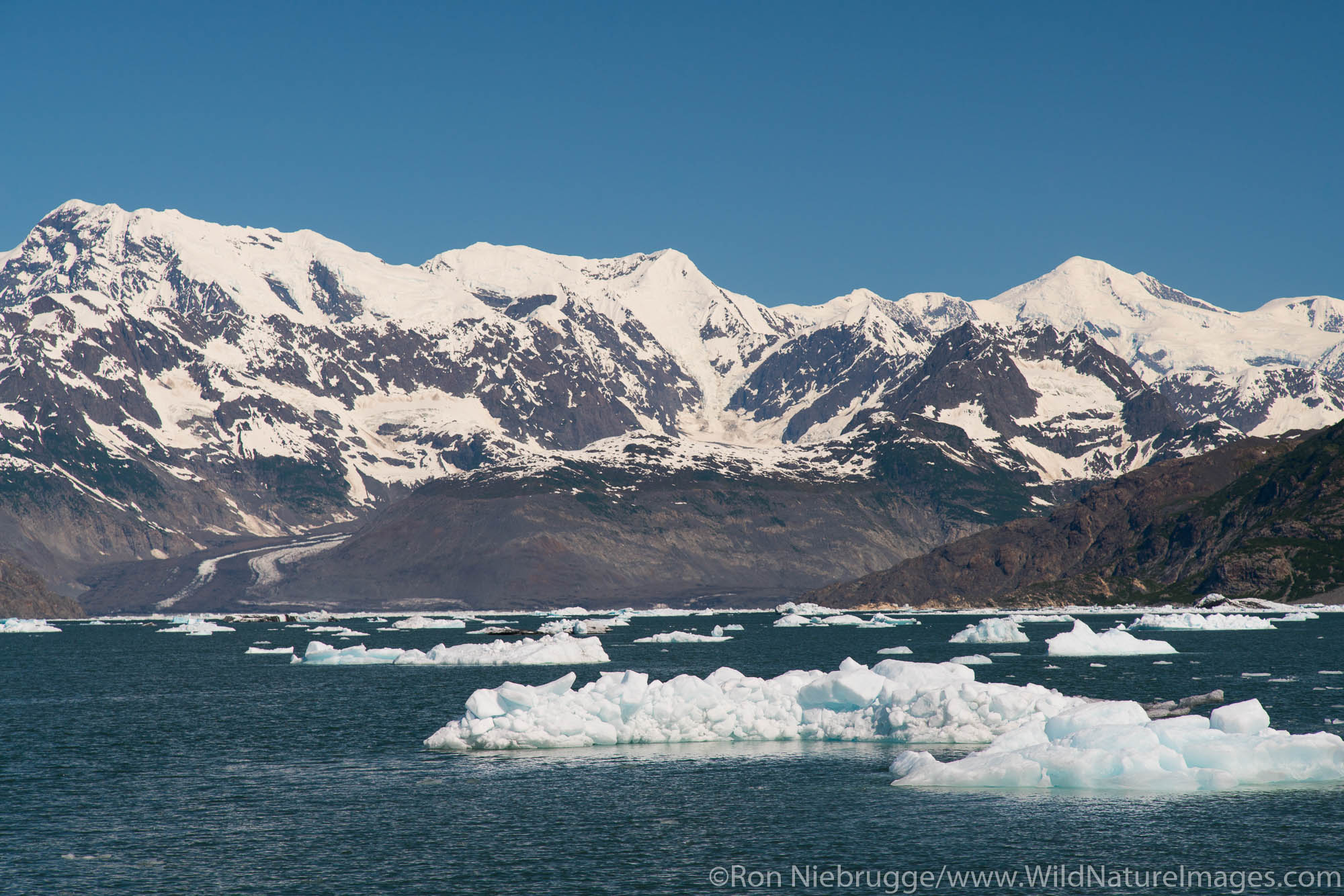 Prince William Sound, Chugach National Forest, Alaska