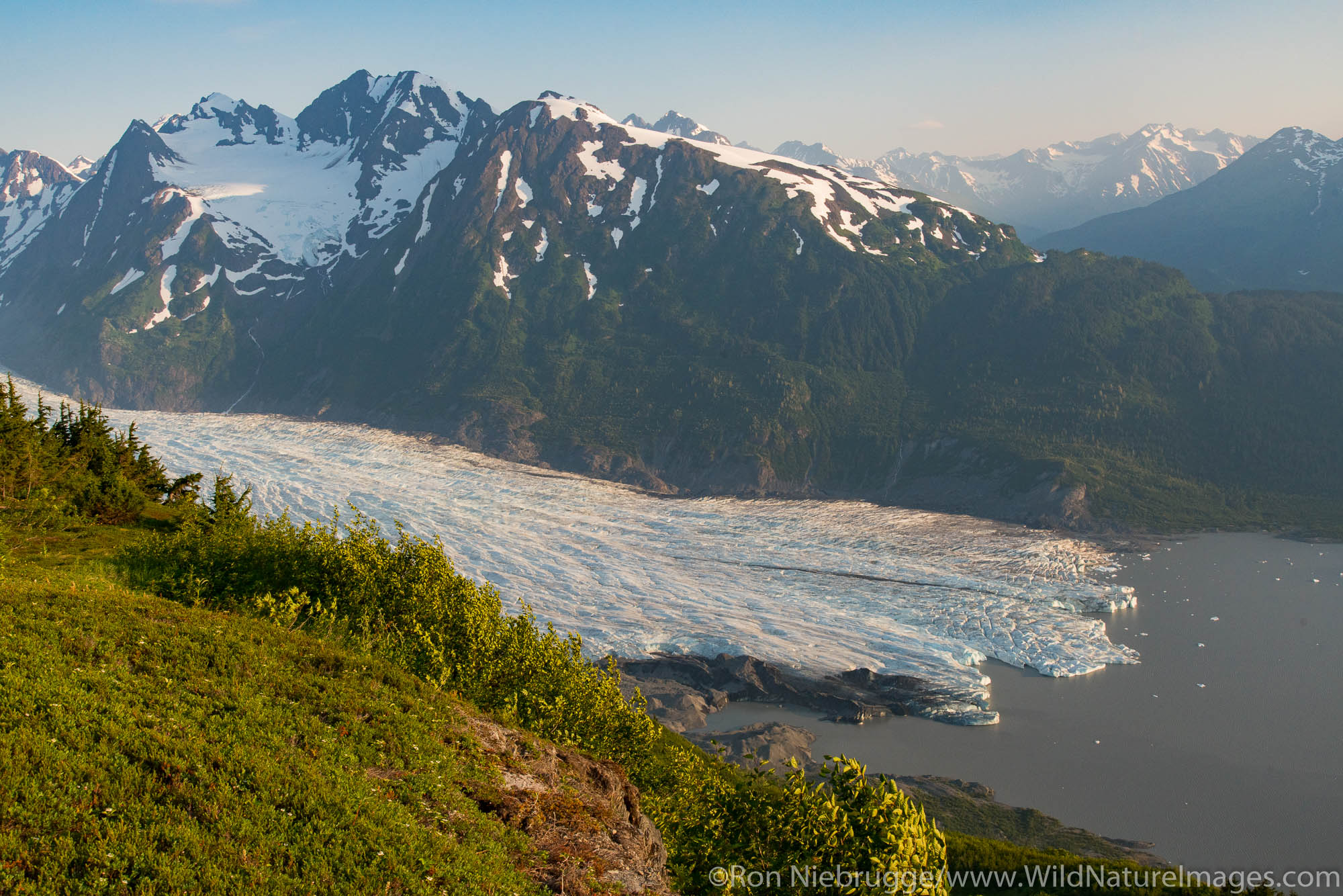 Spencer Glacier Bench, Chugach National Forest, Alaska.