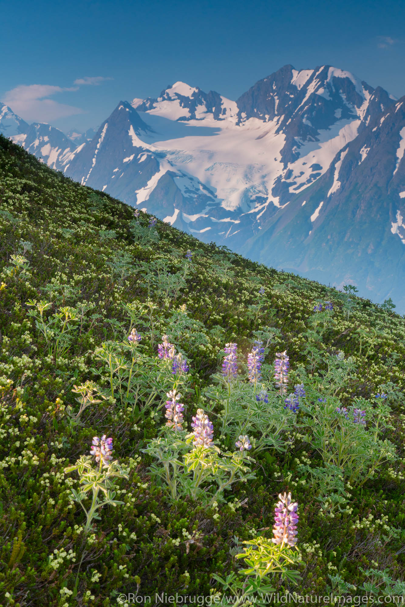 Backpacking trip to the Spencer Glacier Bench, Chugach National Forest, Alaska.