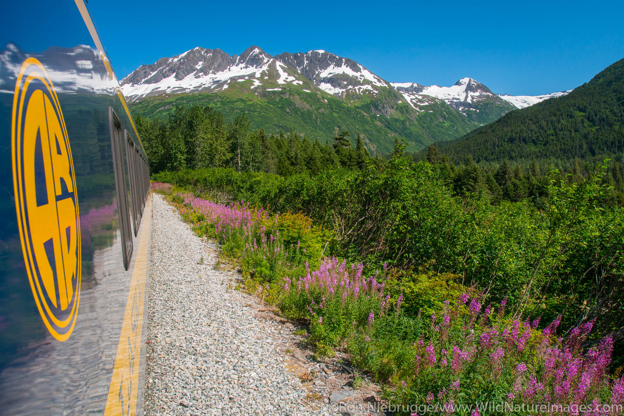 Alaska Railroad Glacier Discovery train trip,  Chugach National Forest, Alaska.