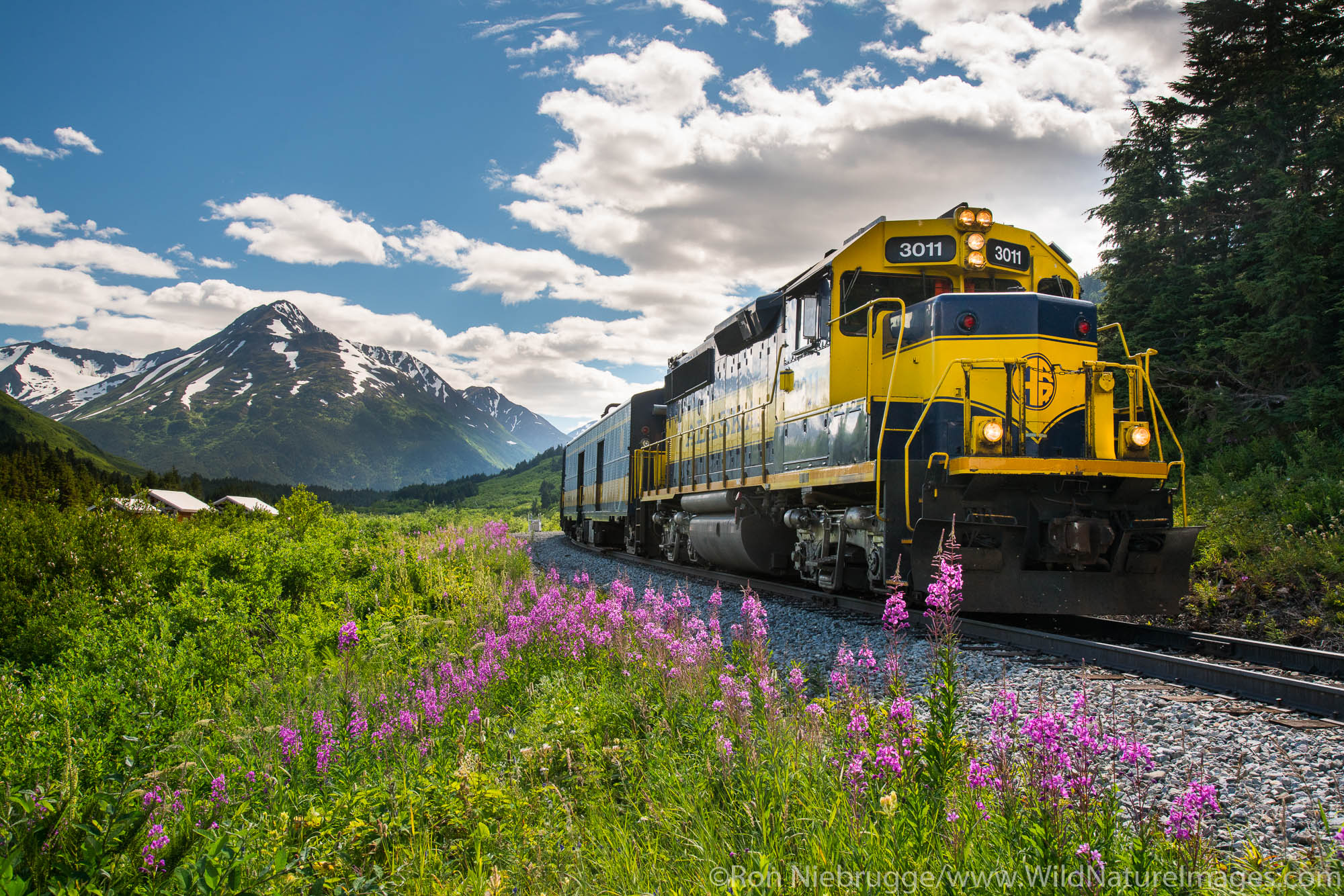 alaska railroad travel agent