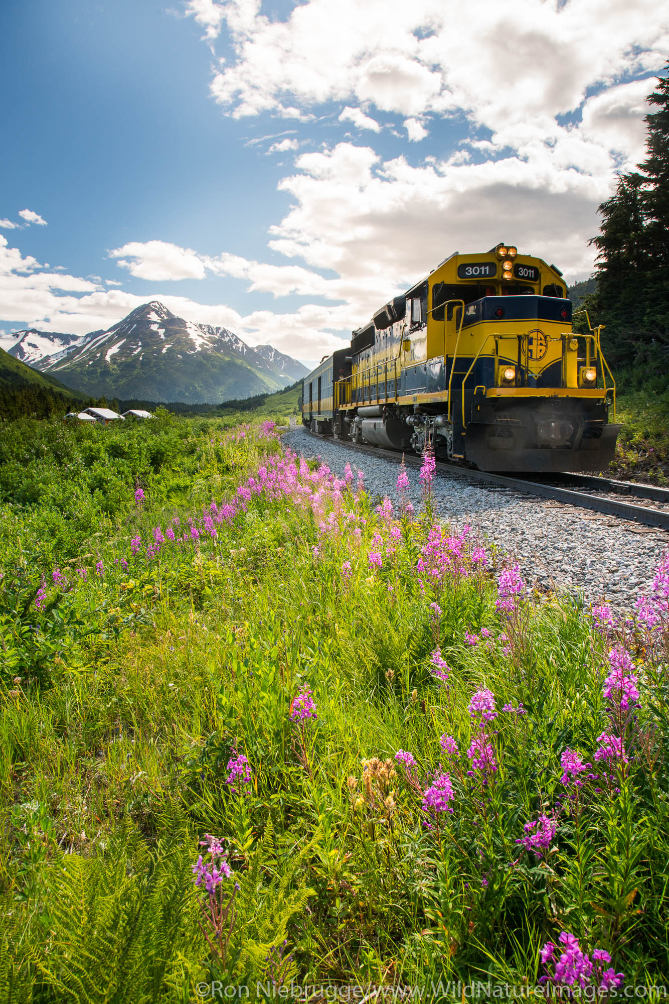 Alaska Railroad Glacier Discovery train trip,  Chugach National Forest, Alaska.