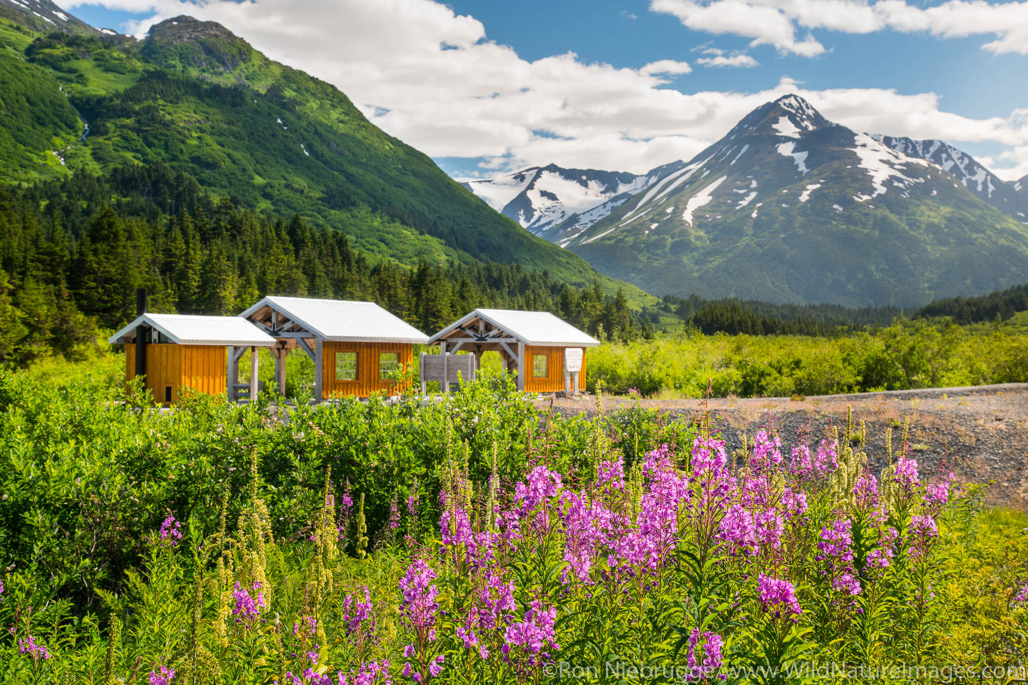 Alaska Railroad Glacier Discovery train trip,  Chugach National Forest, Alaska.