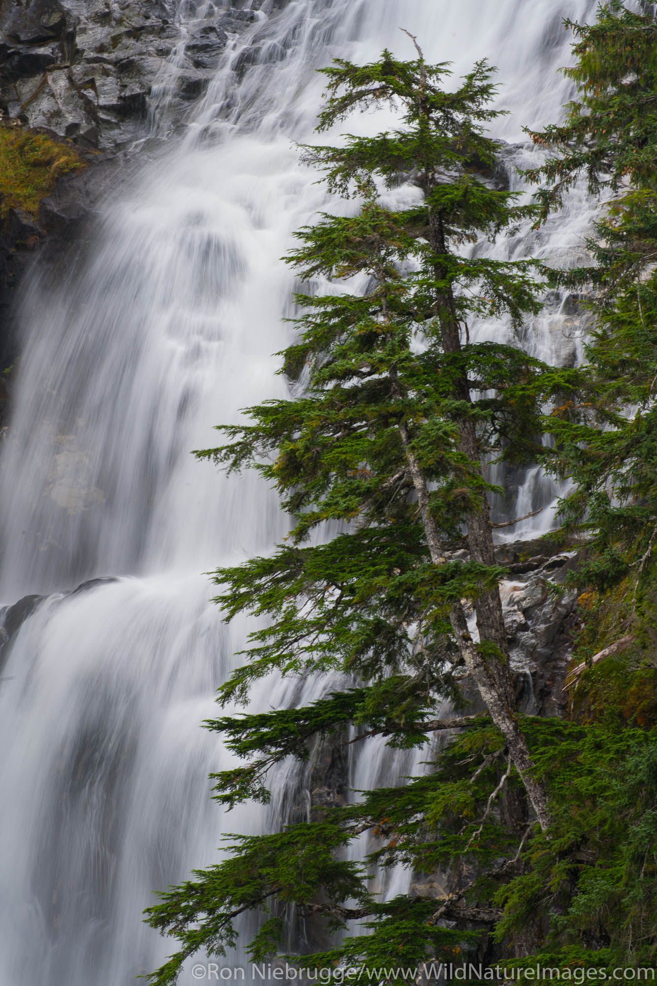 Kasnyku Falls, Tongass National Forest, Alaska.