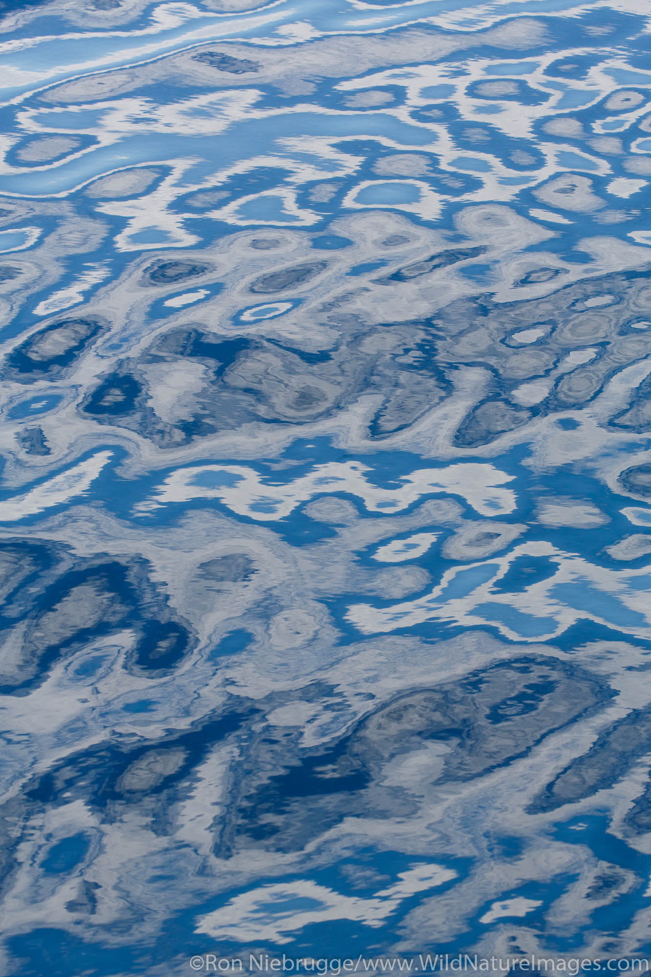Patterns of the ocean, Tongass National Forest, Alaska.