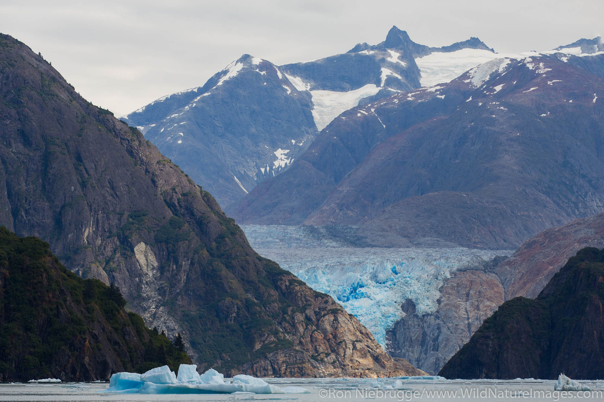 South Sawyer Glacier, Tracy Arm, Tongass National Forest, Alaska.