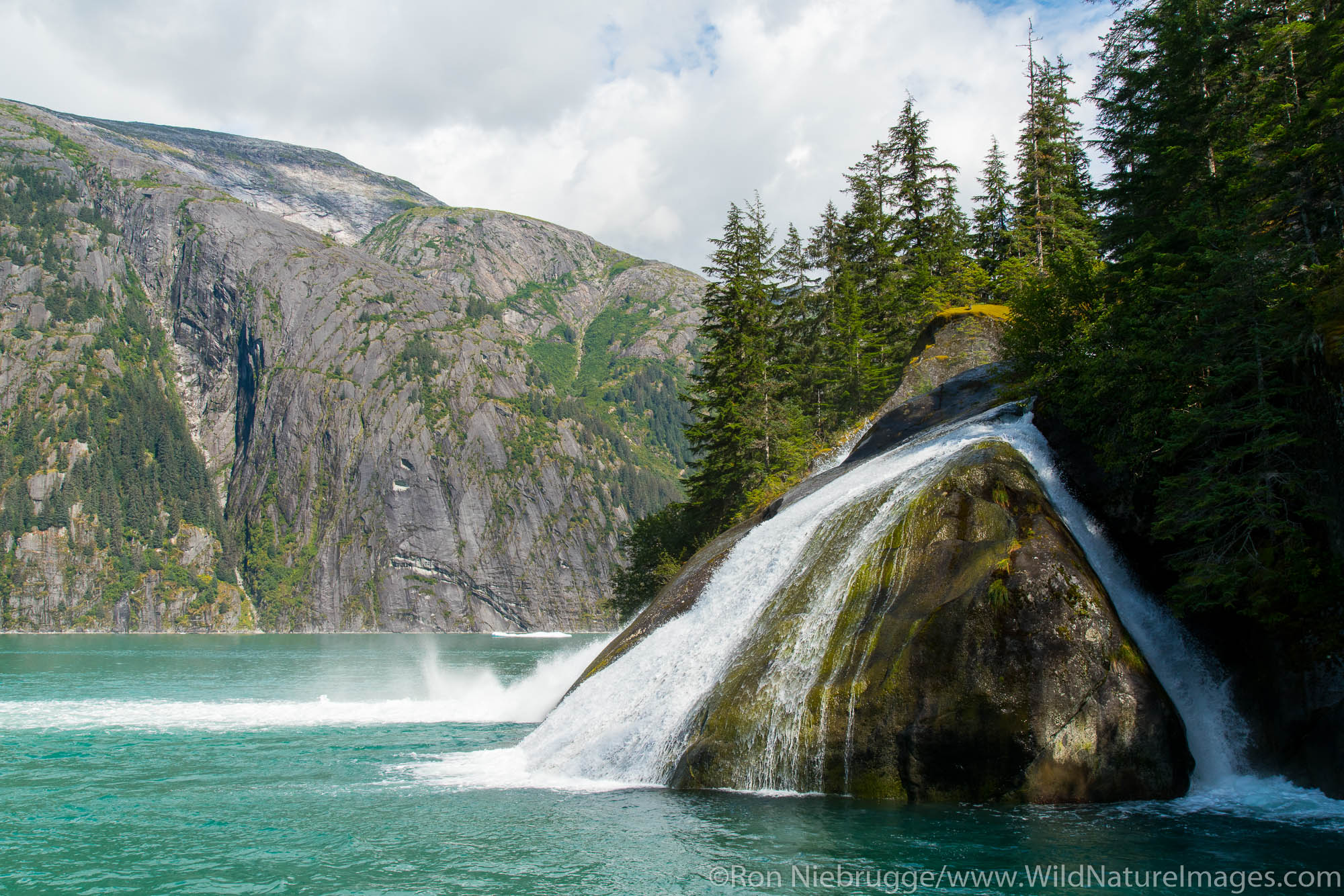 Tracy Arm, Tongass National Forest, Alaska.