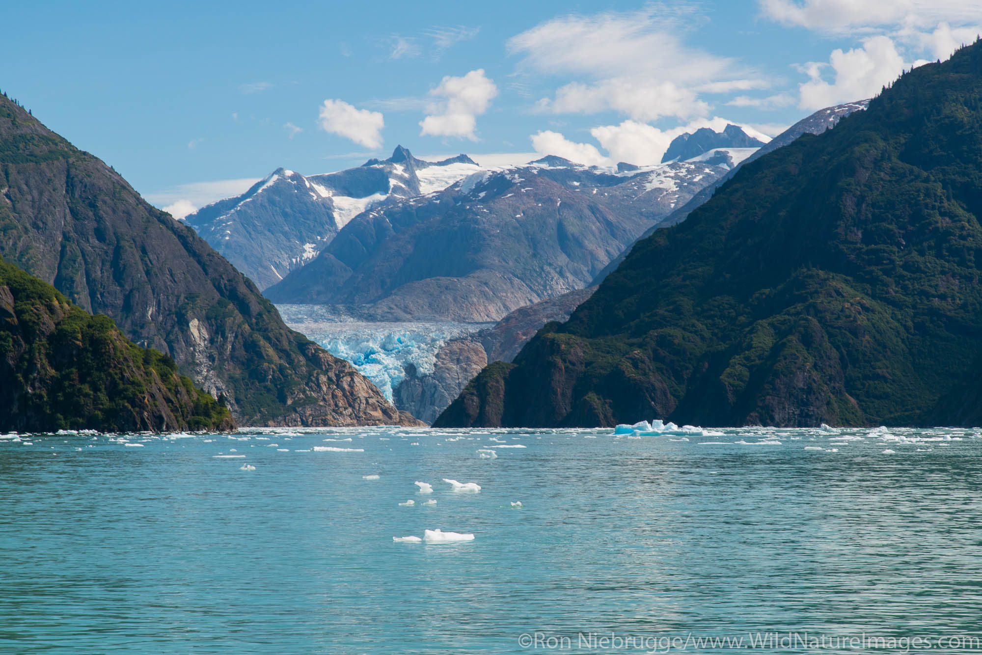 Tracy Arm, Tongass National Forest, Alaska.