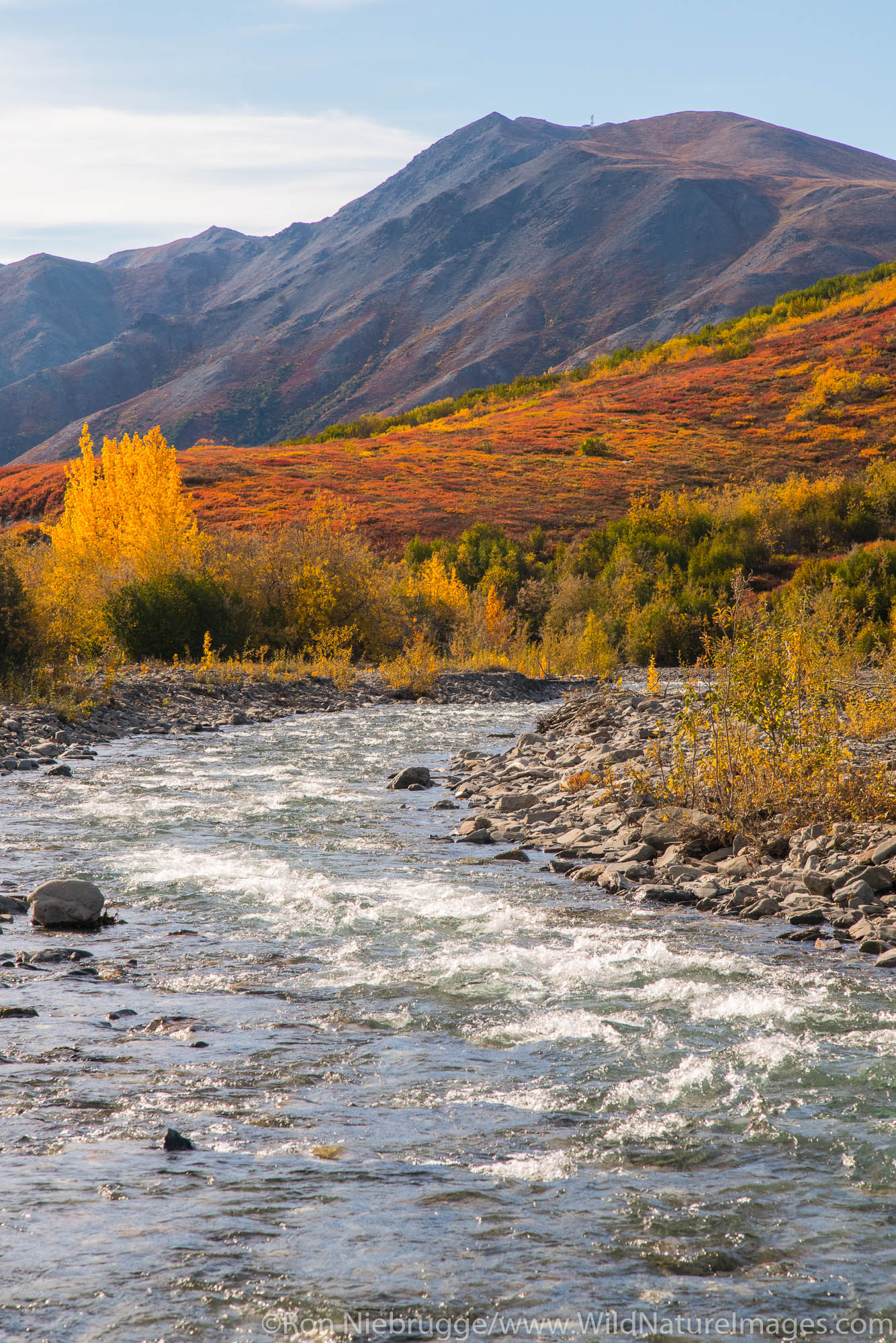 Autumn colors in the Brooks Range Arctic Alaska.