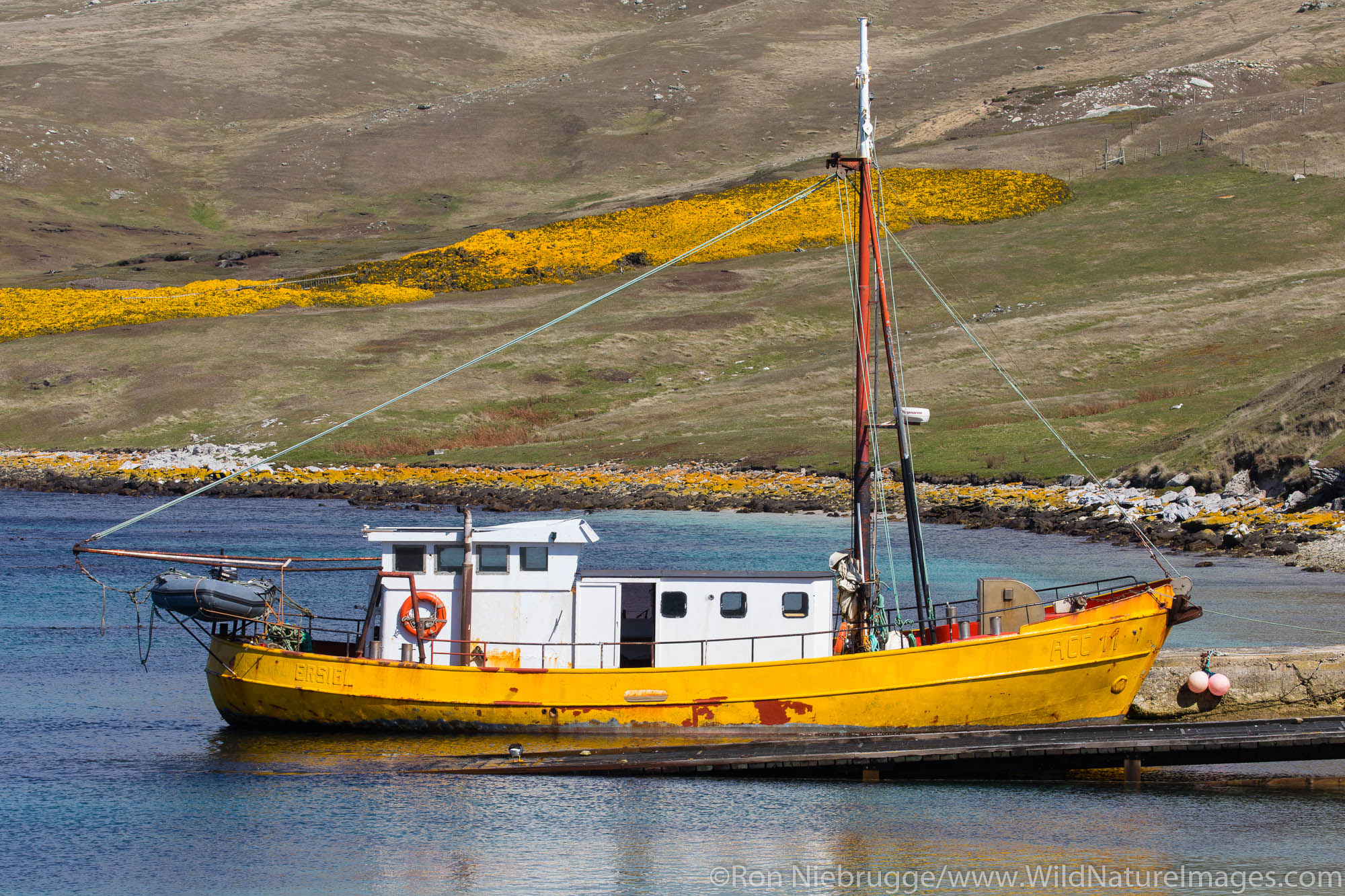 West Point Island, Falkland Islands.