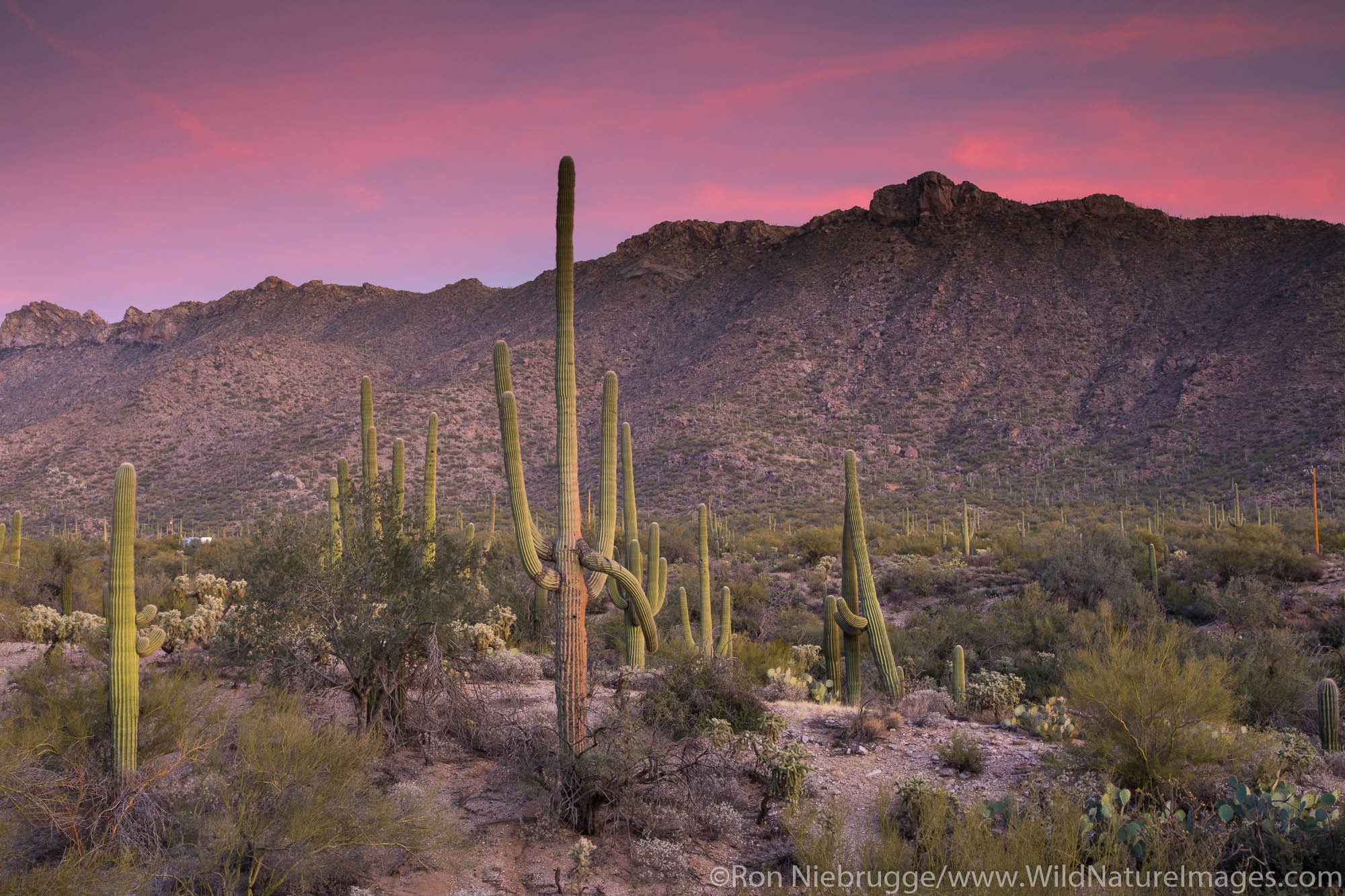 Sunset in the Tortolita Mountains, Arizona.