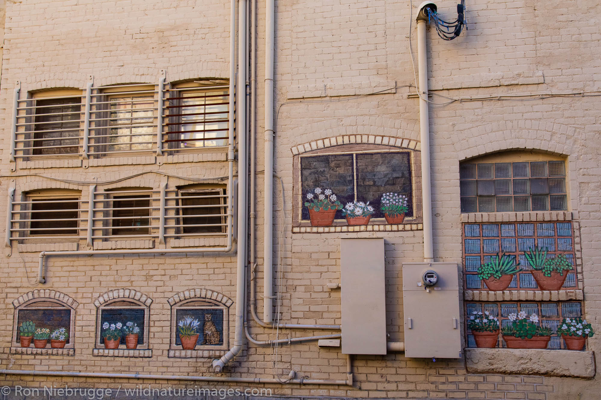 Bisbee, Arizona.