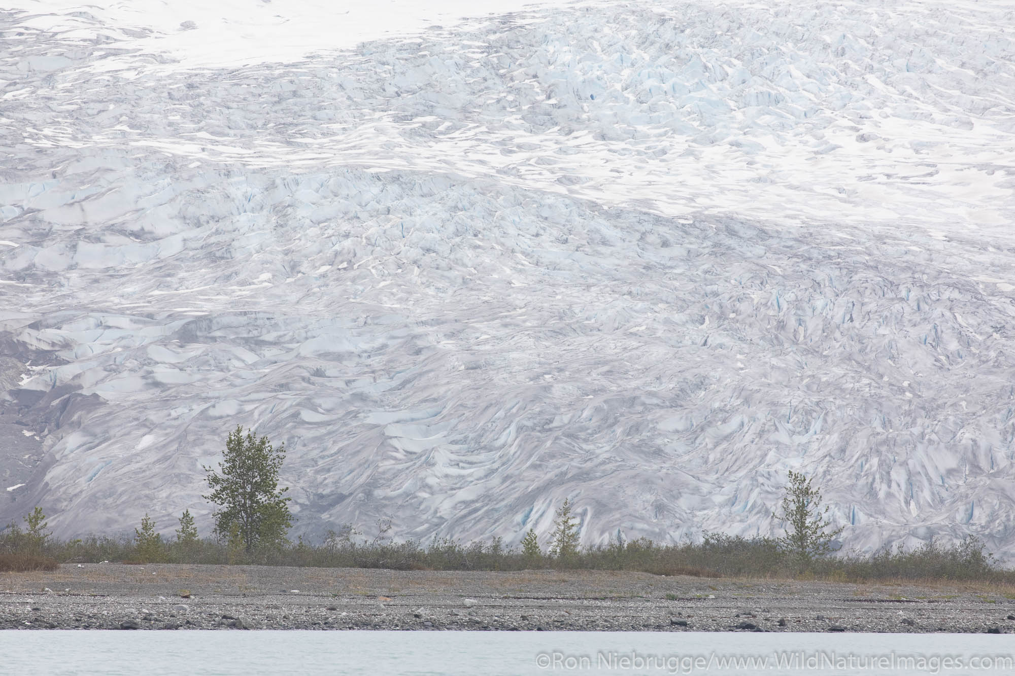 Reid Glaicer, Glacier Bay National Park, Alaska.