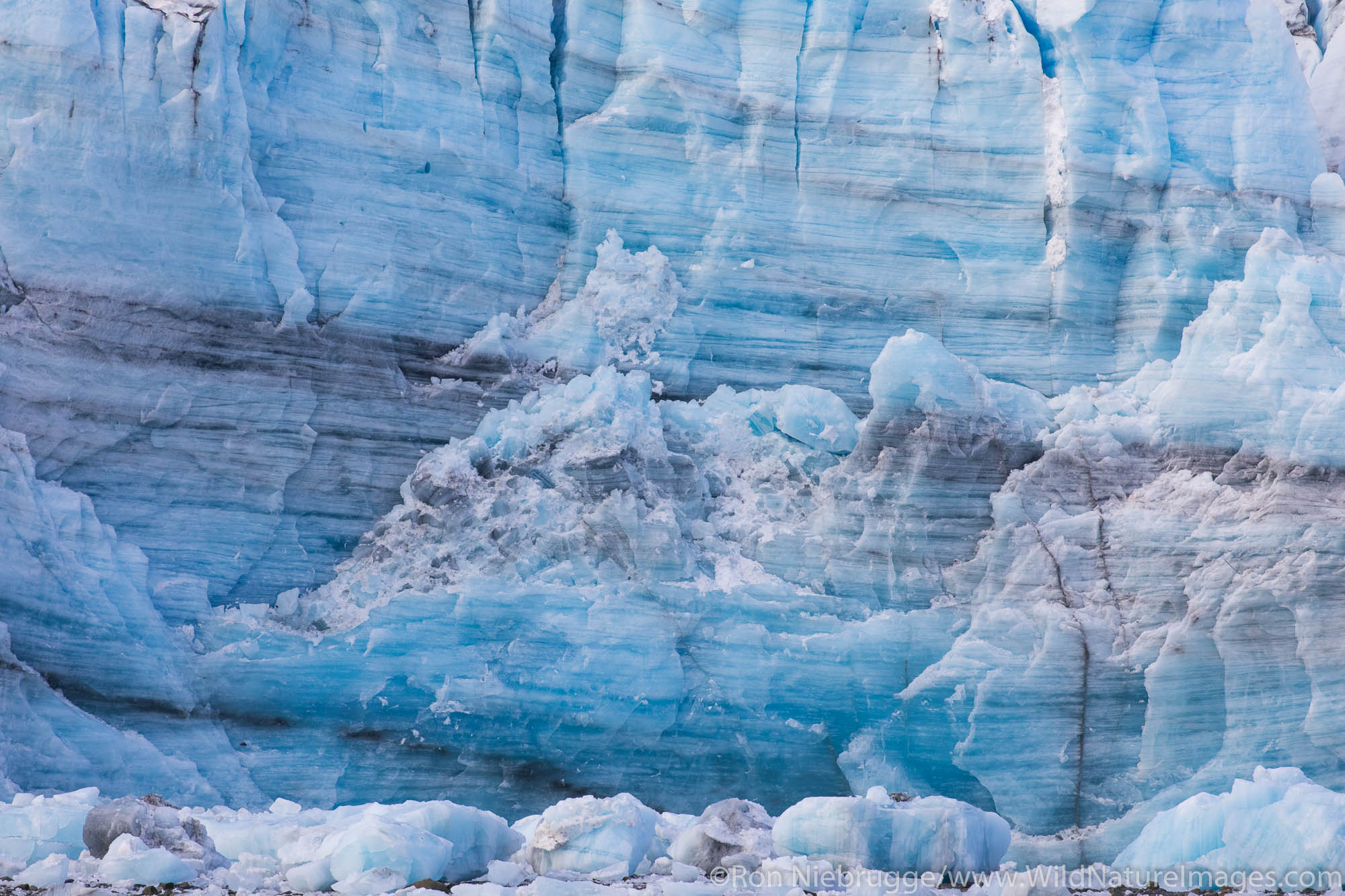 Lamplugh Glacier, Glacier Bay National Park, Alaska.