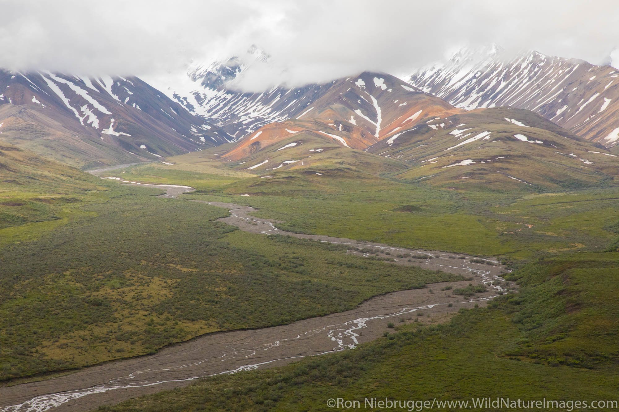 View from Polychrome Pass, Denali National Park, Alaska