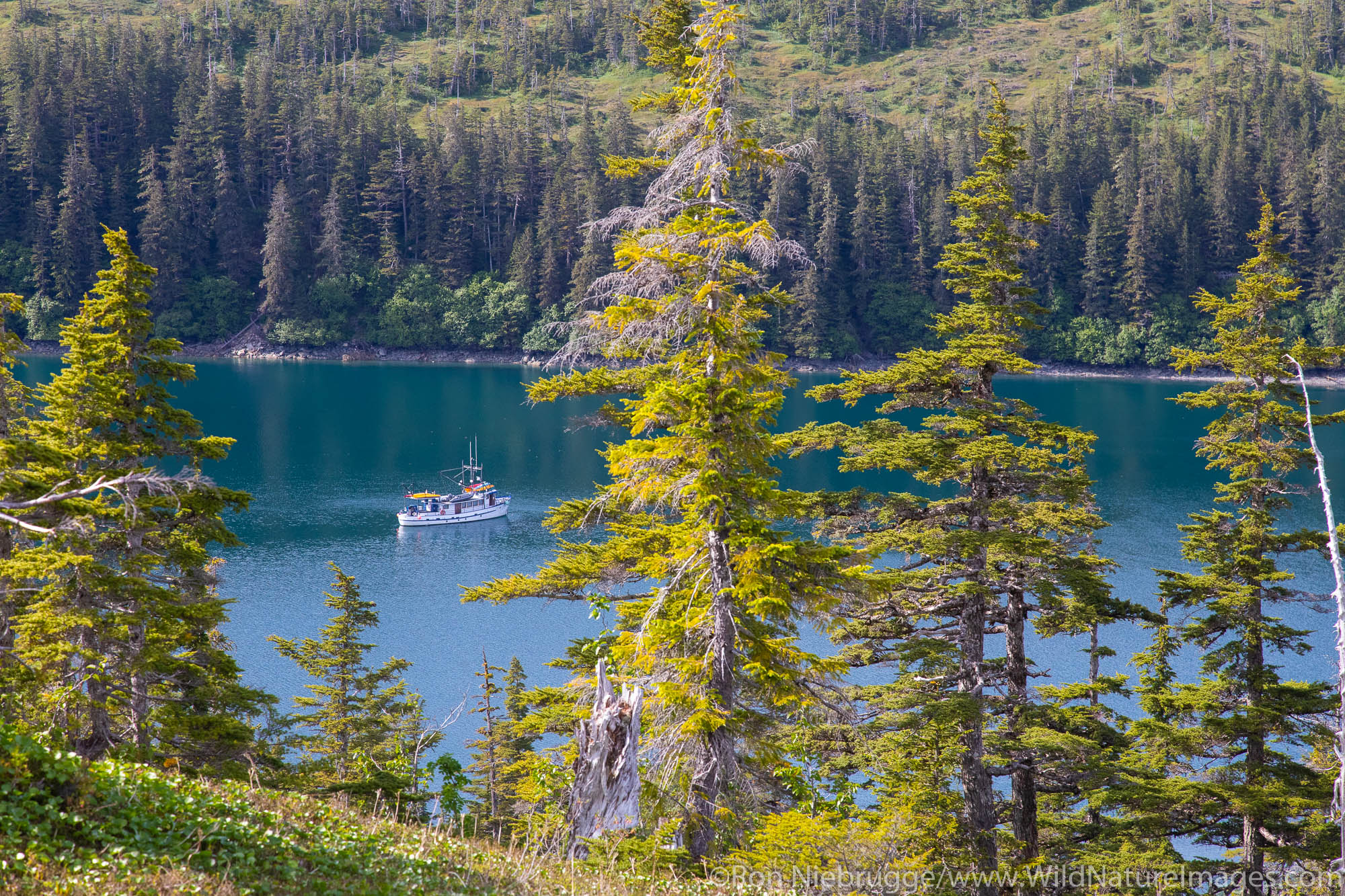 Prince William Sound, Chugach National Forest, Alaska.