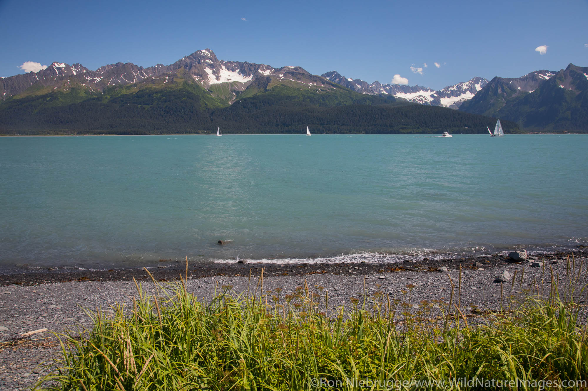 Resurrection Bay, Seward, Alaska.