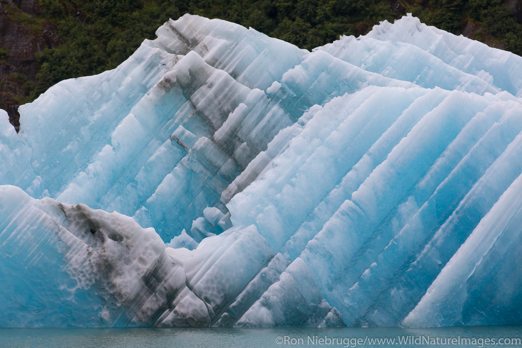 Iceberg. Endicott Arm, Alaska.