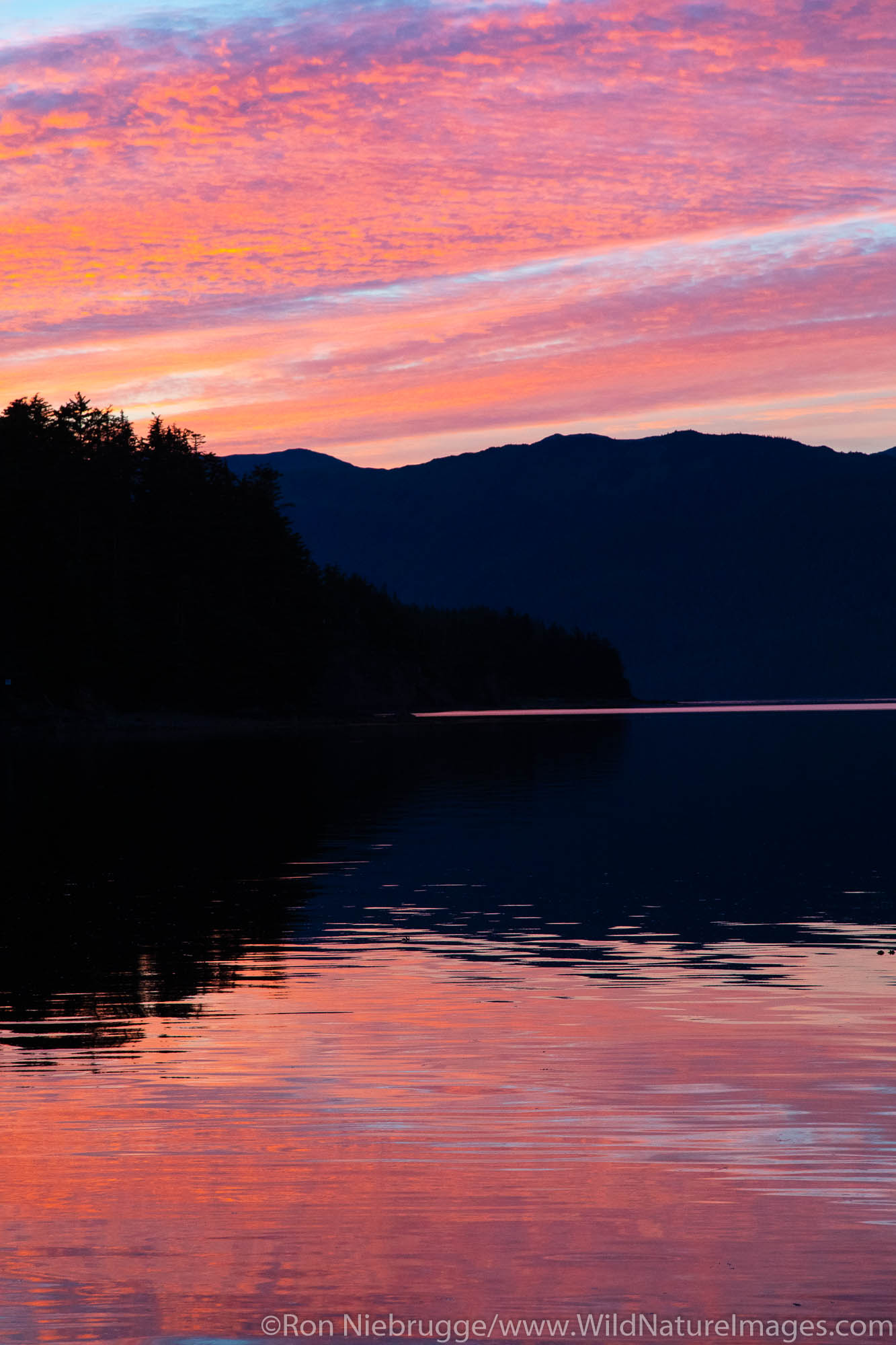 Tongass National Forest, Alaska.