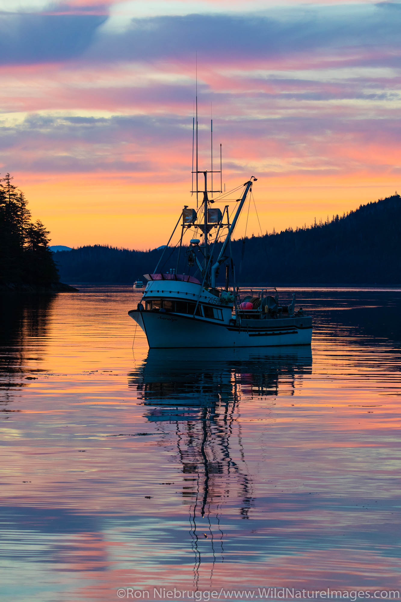 Sunset over Frederick Sound from Cape Fanshaw, Tongass National Forest, Alaska.