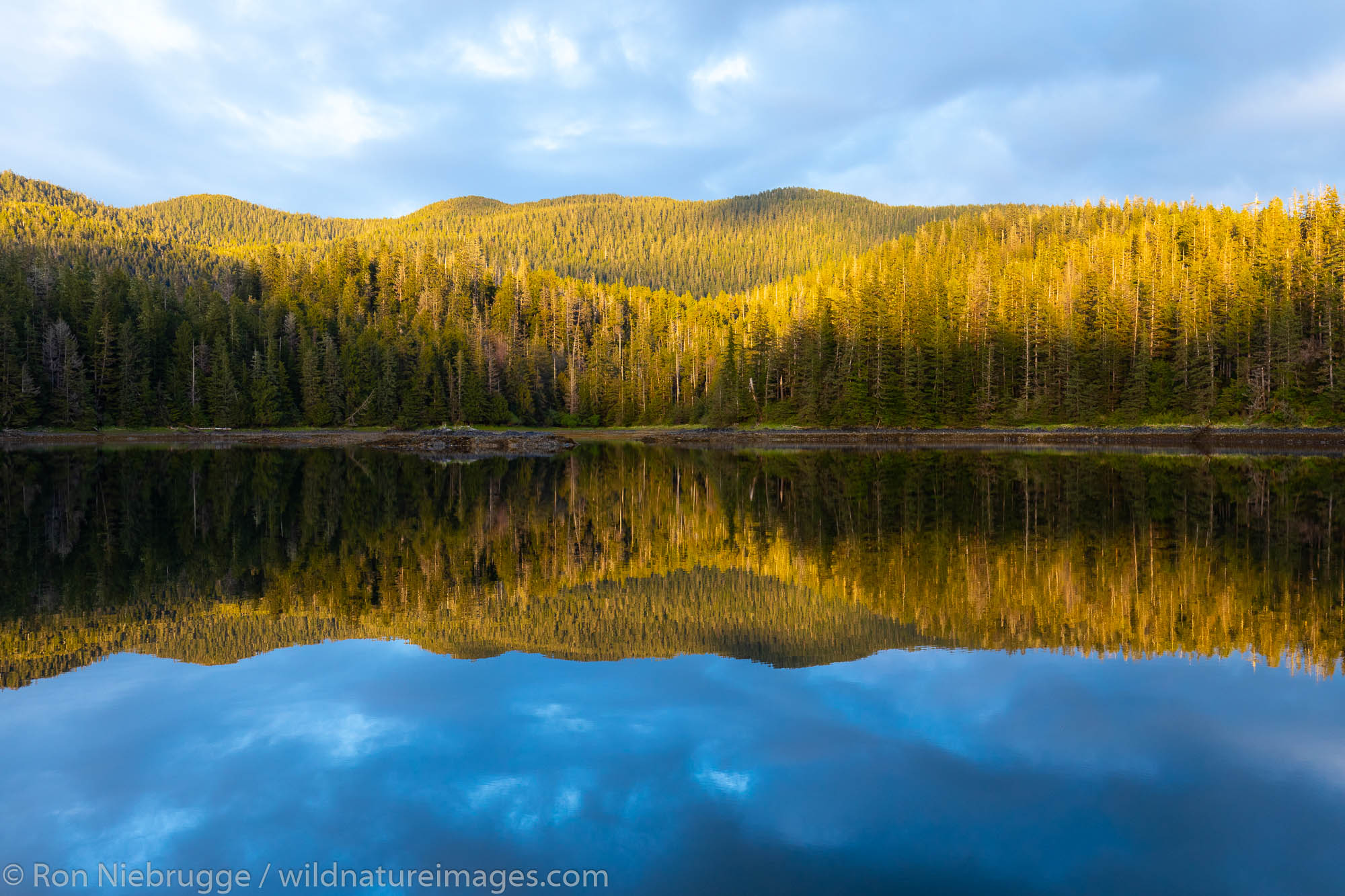 Tongass National Forest, Alaska.