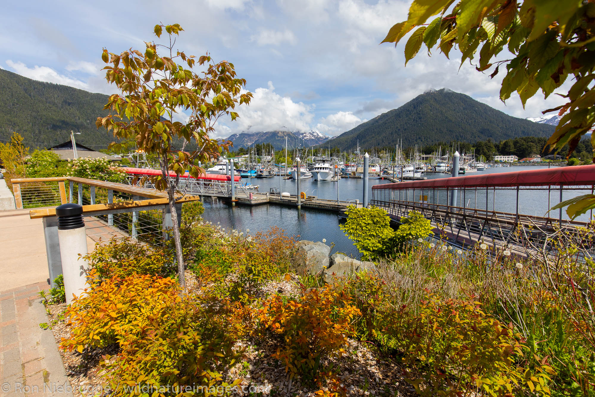 Sitka, Alaska.