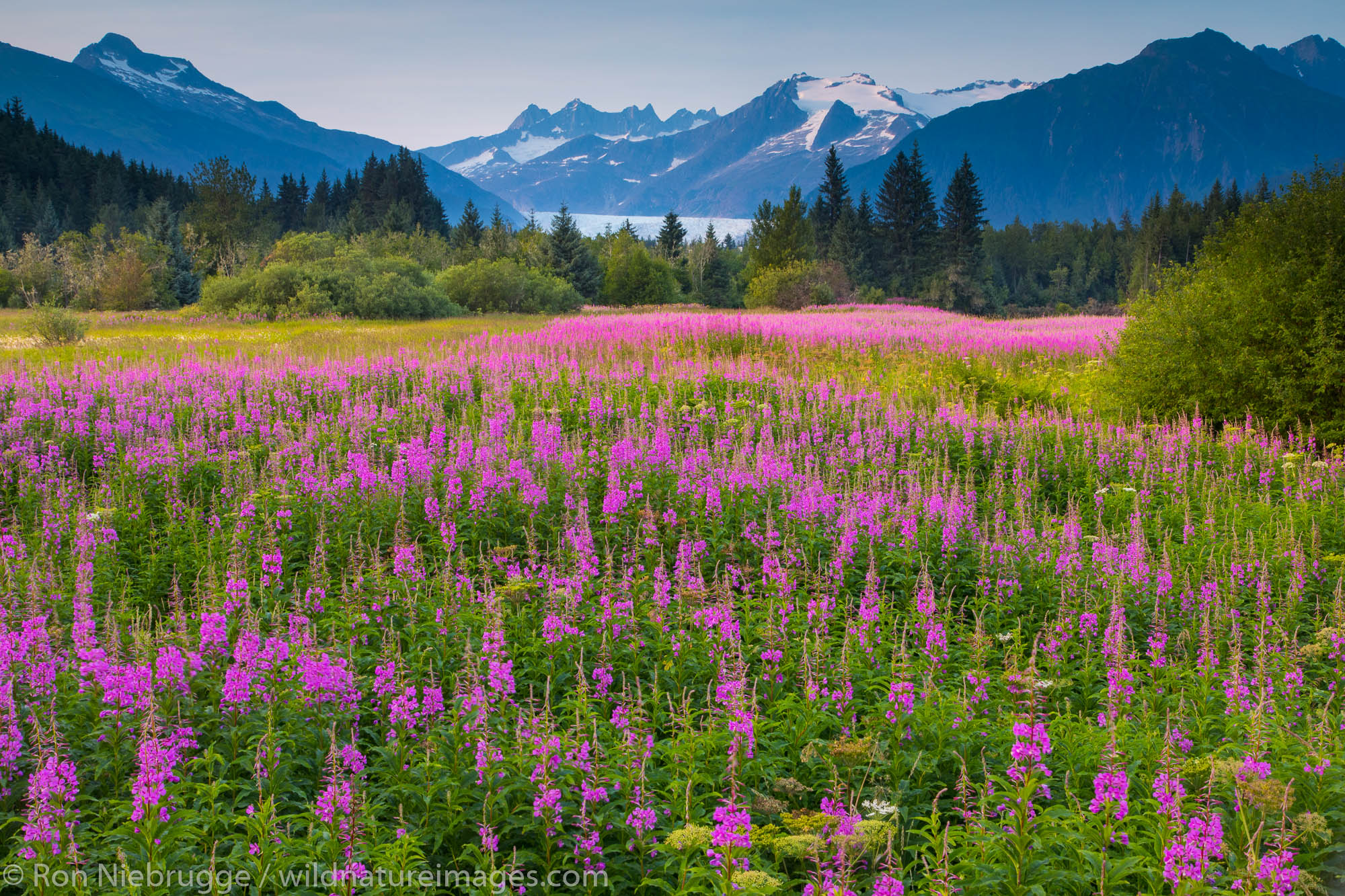 Brotherhood Park, Juneau, Alaska.