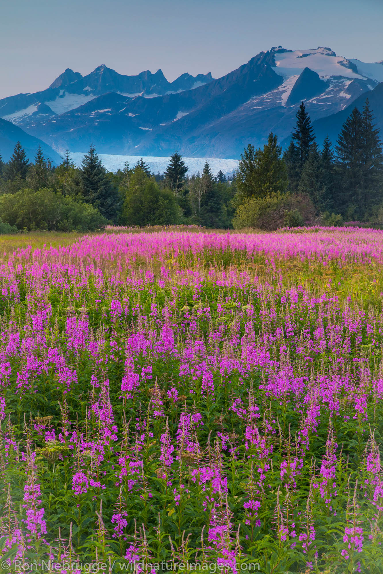 Brotherhood Park, Juneau, Alaska.