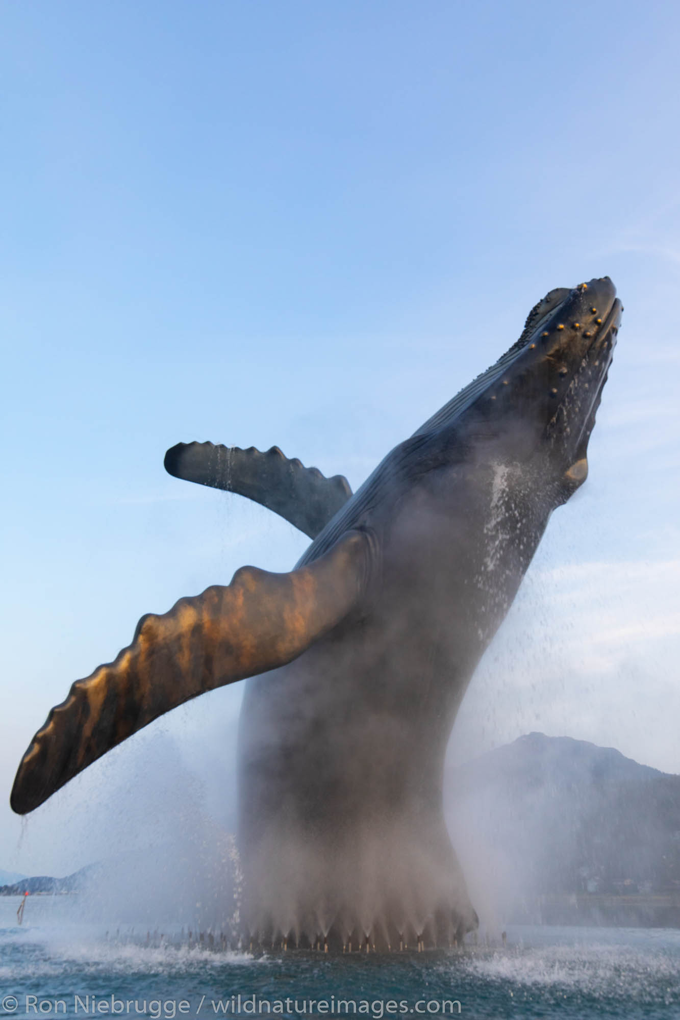 Whale statue, Juneau, Alaska.
