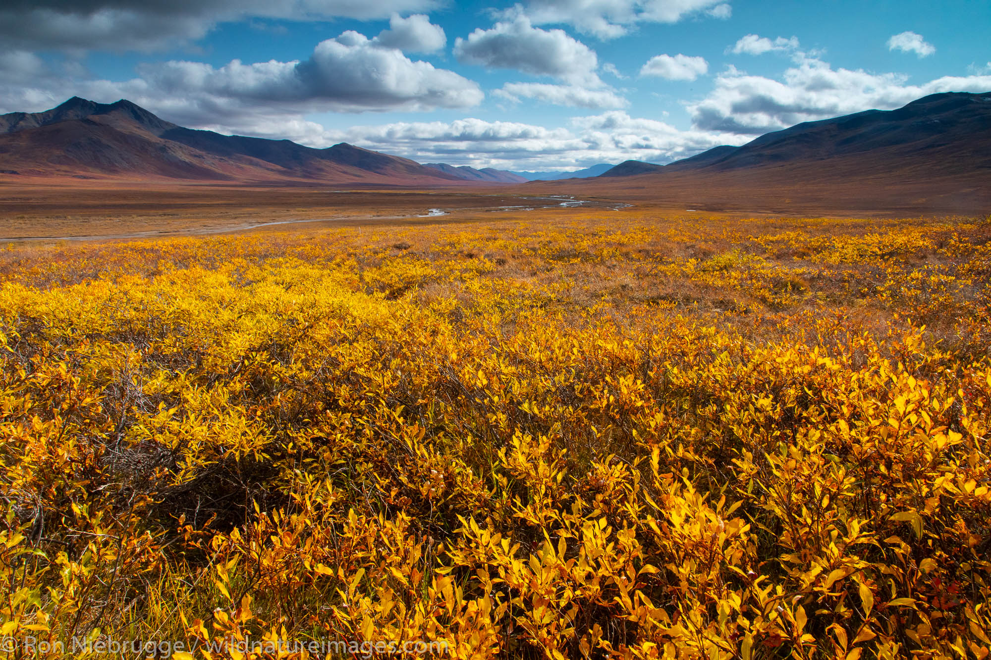 Autumn in the Brooks Range, Dalton Highway, Alaska.