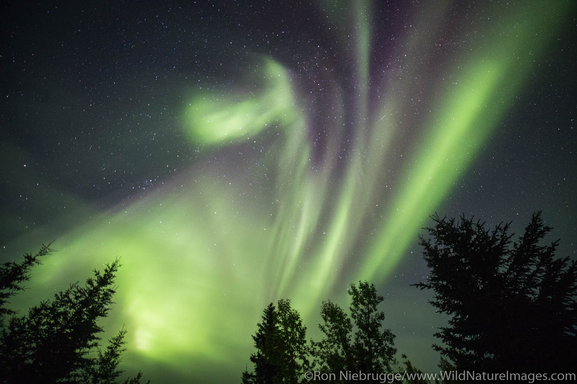 Northern Lights, also known as Aurora borealis, Wiseman, Alaska