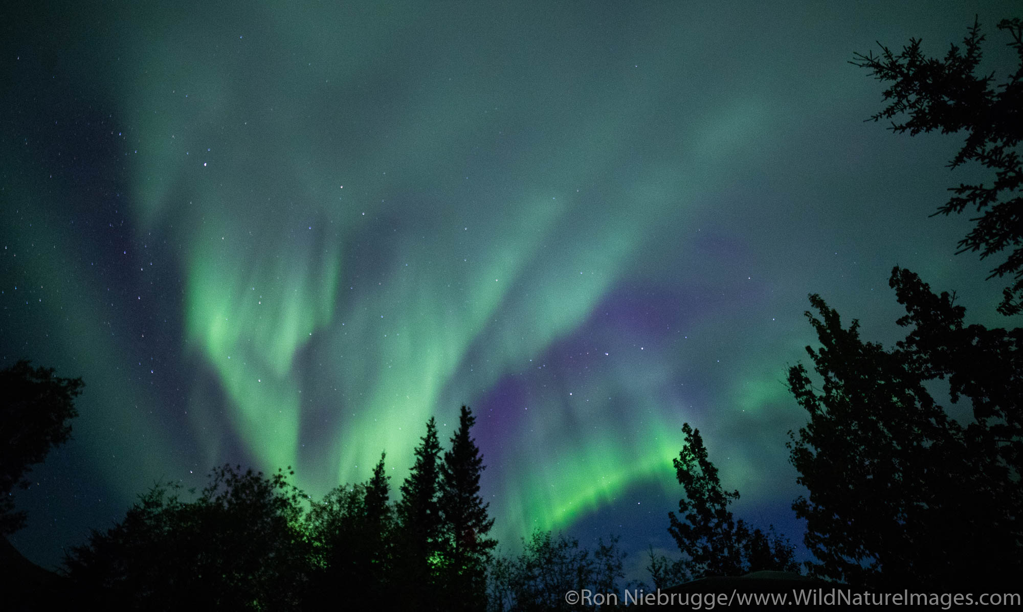 Northern Lights, also known as Aurora borealis, Wiseman, Alaska