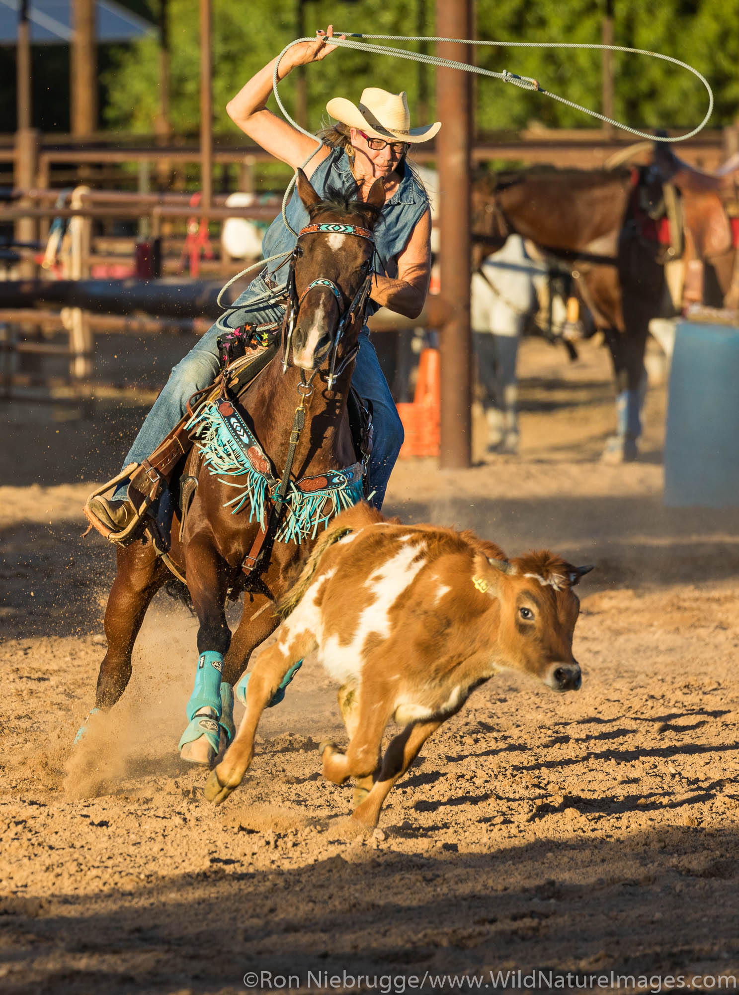 White Stallion Ranch, Tucson, Arizona.