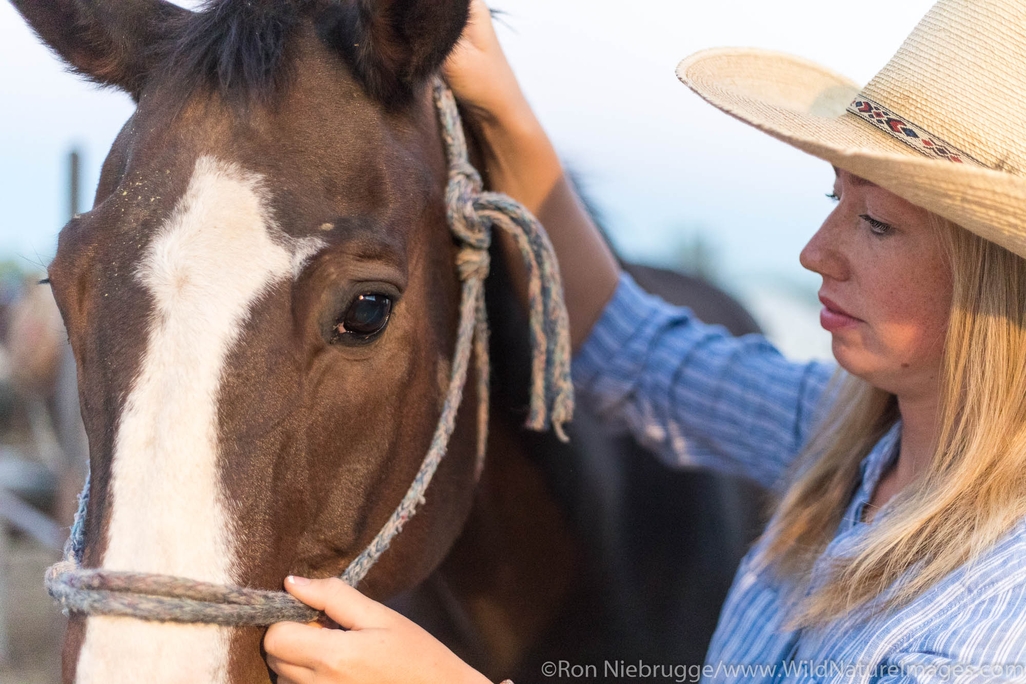 White Stallion Ranch, Tucson, Arizona.