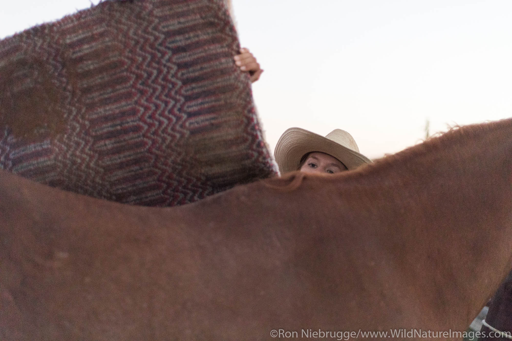 White Stallion Ranch, Tucson, Arizona.